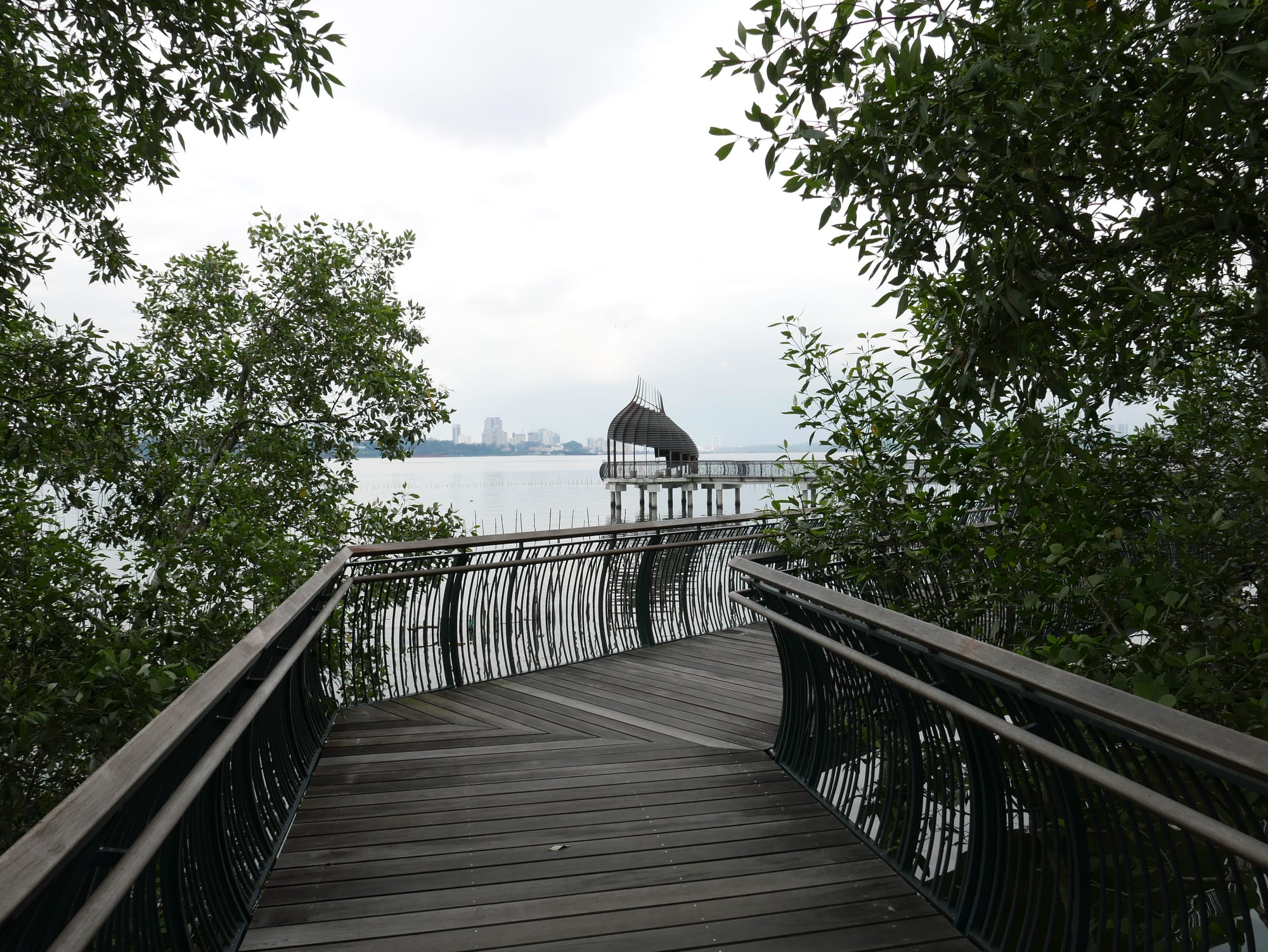 Photo by Author — elevated walkway — Sungei Buloh Wetland Reserve, Singapore