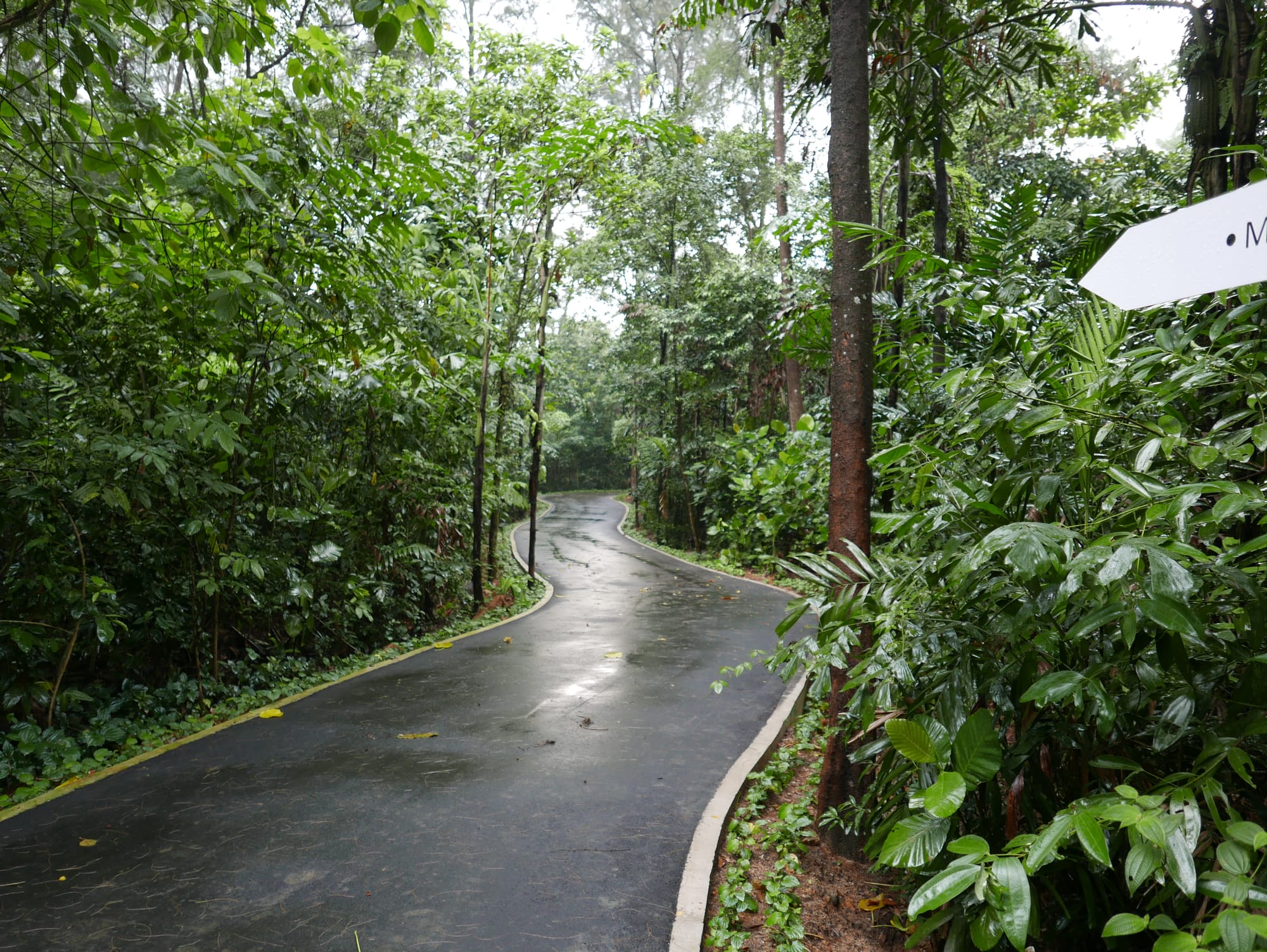 Photo by Author — trails — Admiralty Park, Woodlands, Singapore