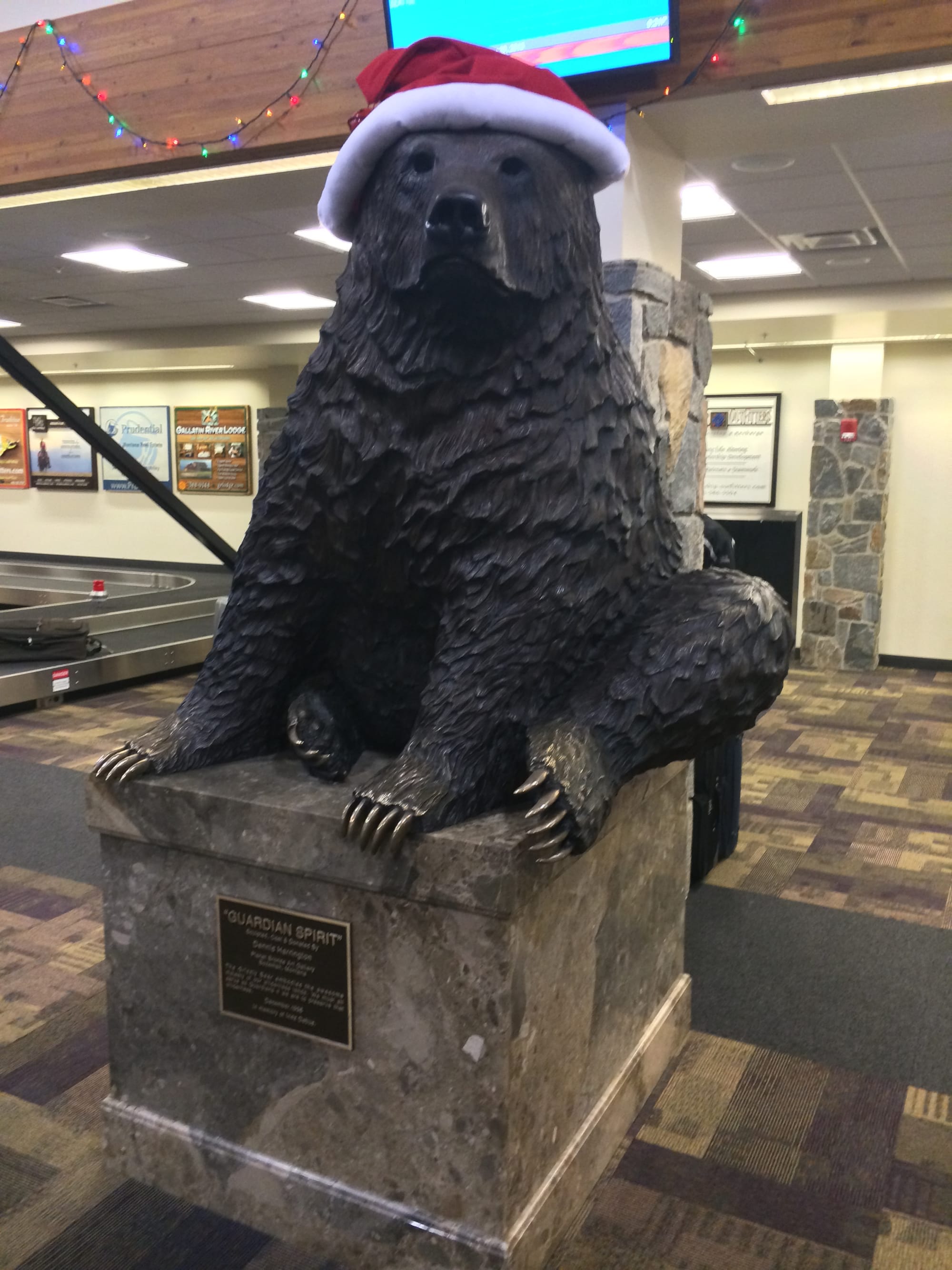 Photo by Author — I wonder if the bear wears the hat all year or just for the Christmas period — Bozeman Montana Airport
