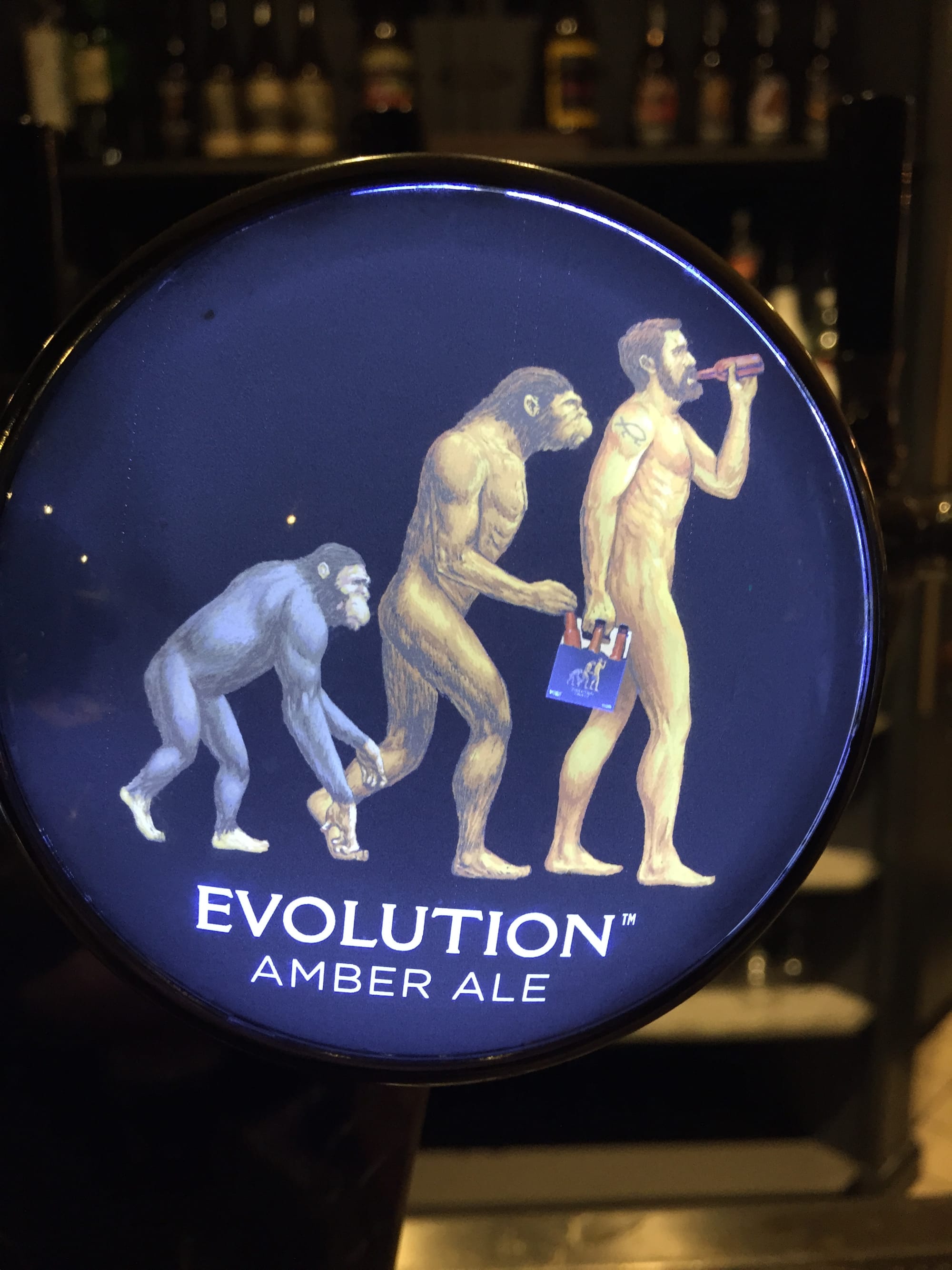 Photo by Author - beers at the Squatters Craft Beers, Park City, Utah  — Evolution