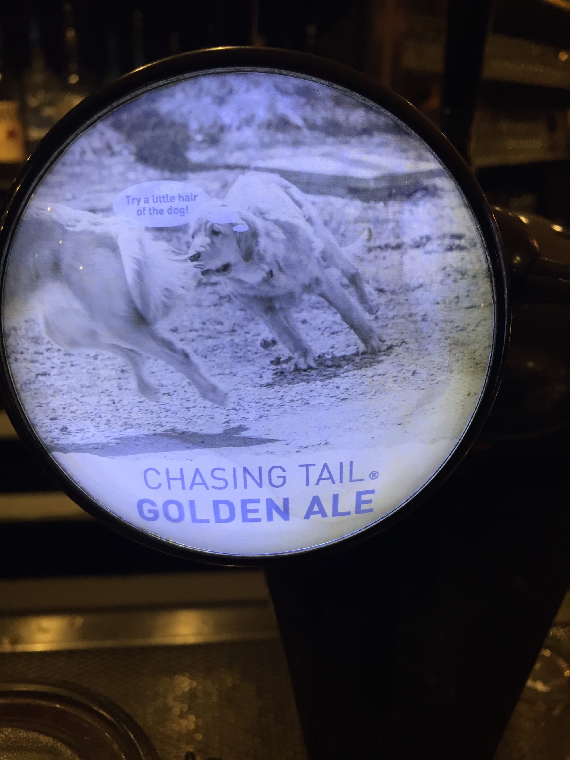 Photo by Author — beers at the Squatters Craft Beers, Park City, Utah — Chasing Tail