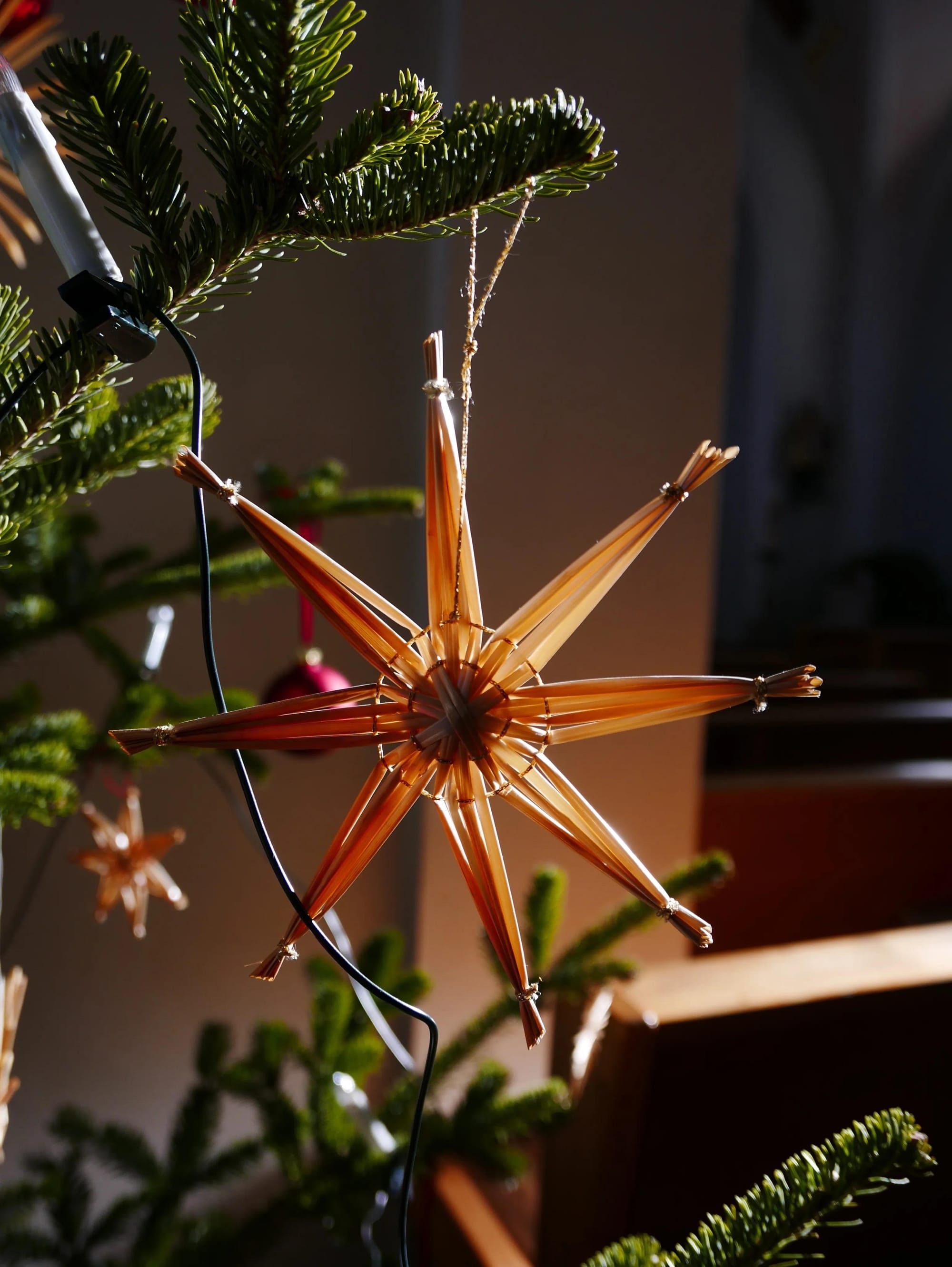 Photo by Author — Christmas tree decorations — Niederau Church