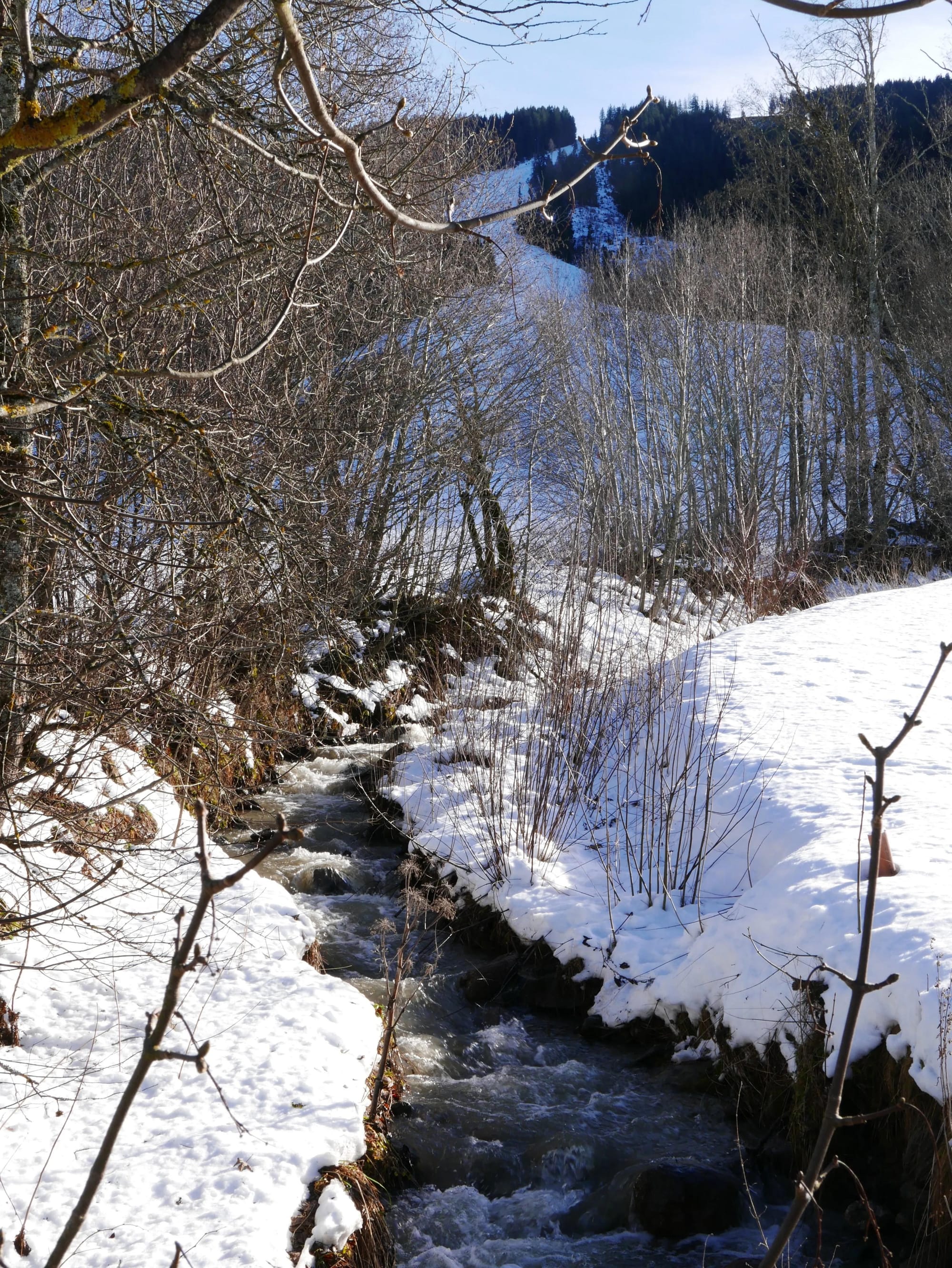 Photo by Author — a stream running through Niederau