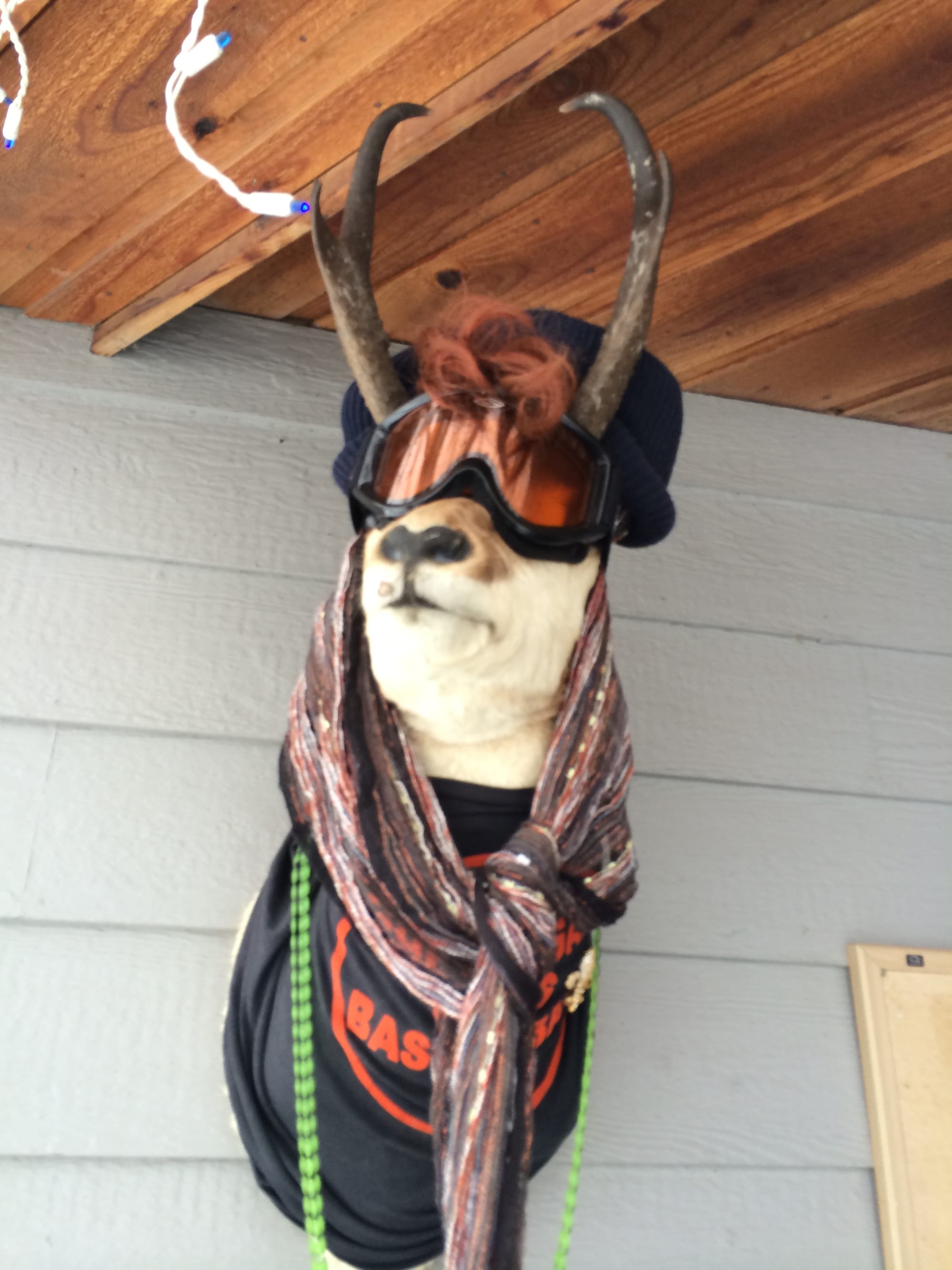 Photo by Author — decor at theBlue Moon Bakery, Big Sky, Montana — I like the outfit