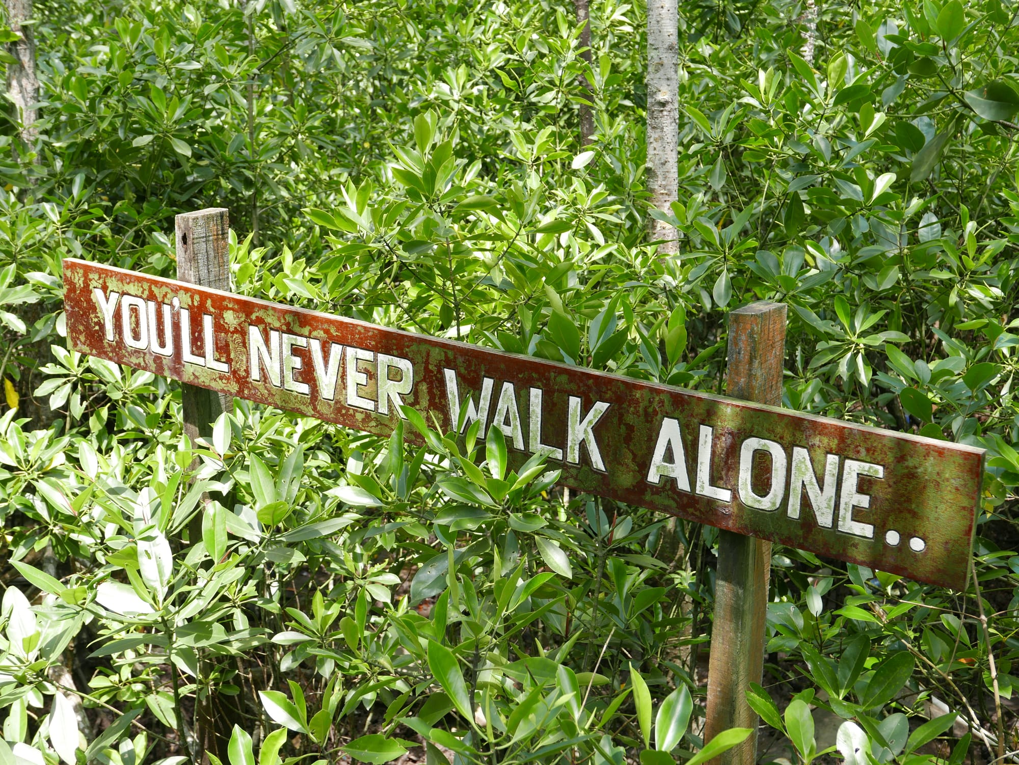Photo by Author — you’ll never walk alone — Tanjung Piai National Park