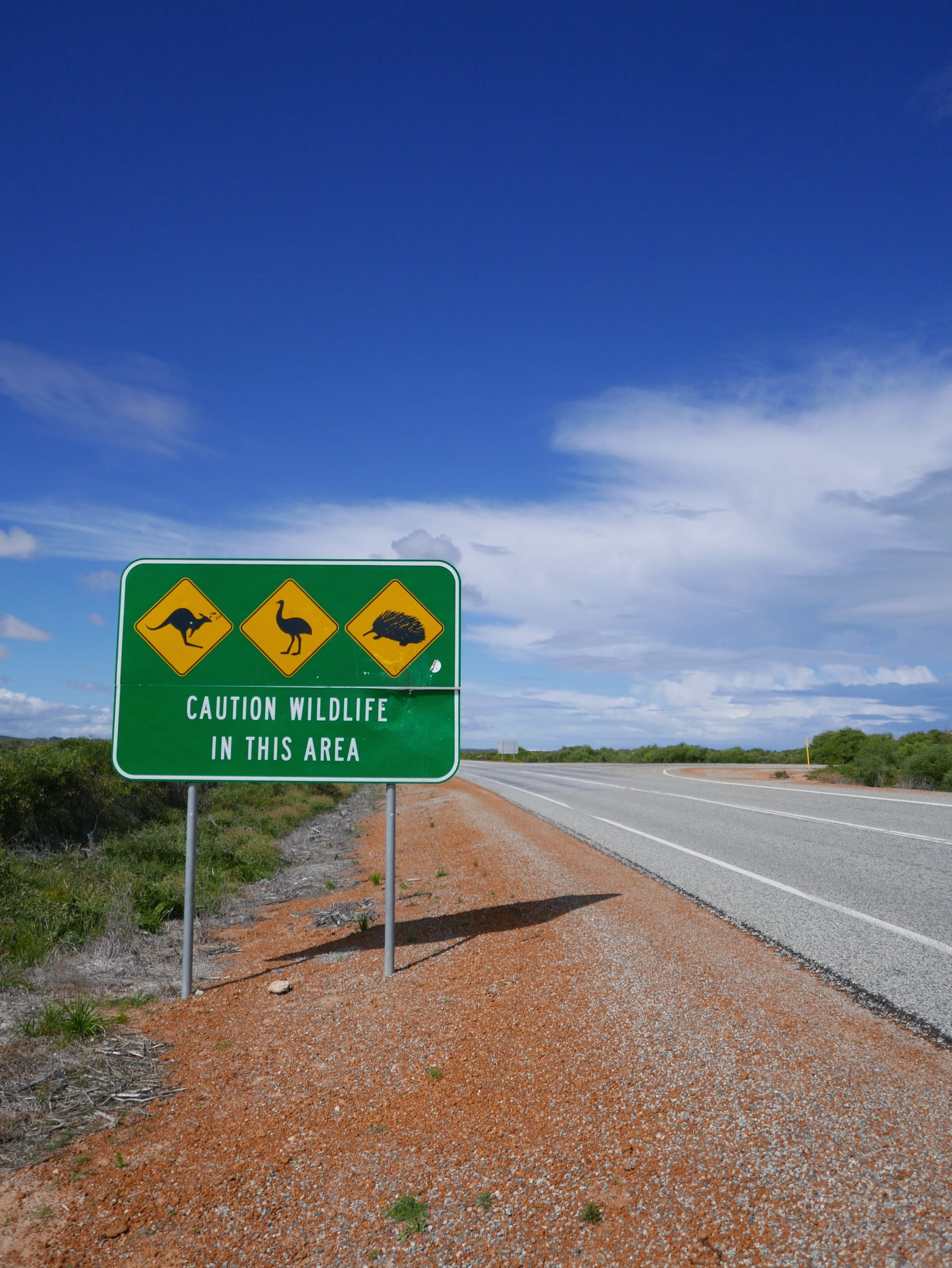 Photo by Author — Australian wildlife road sign
