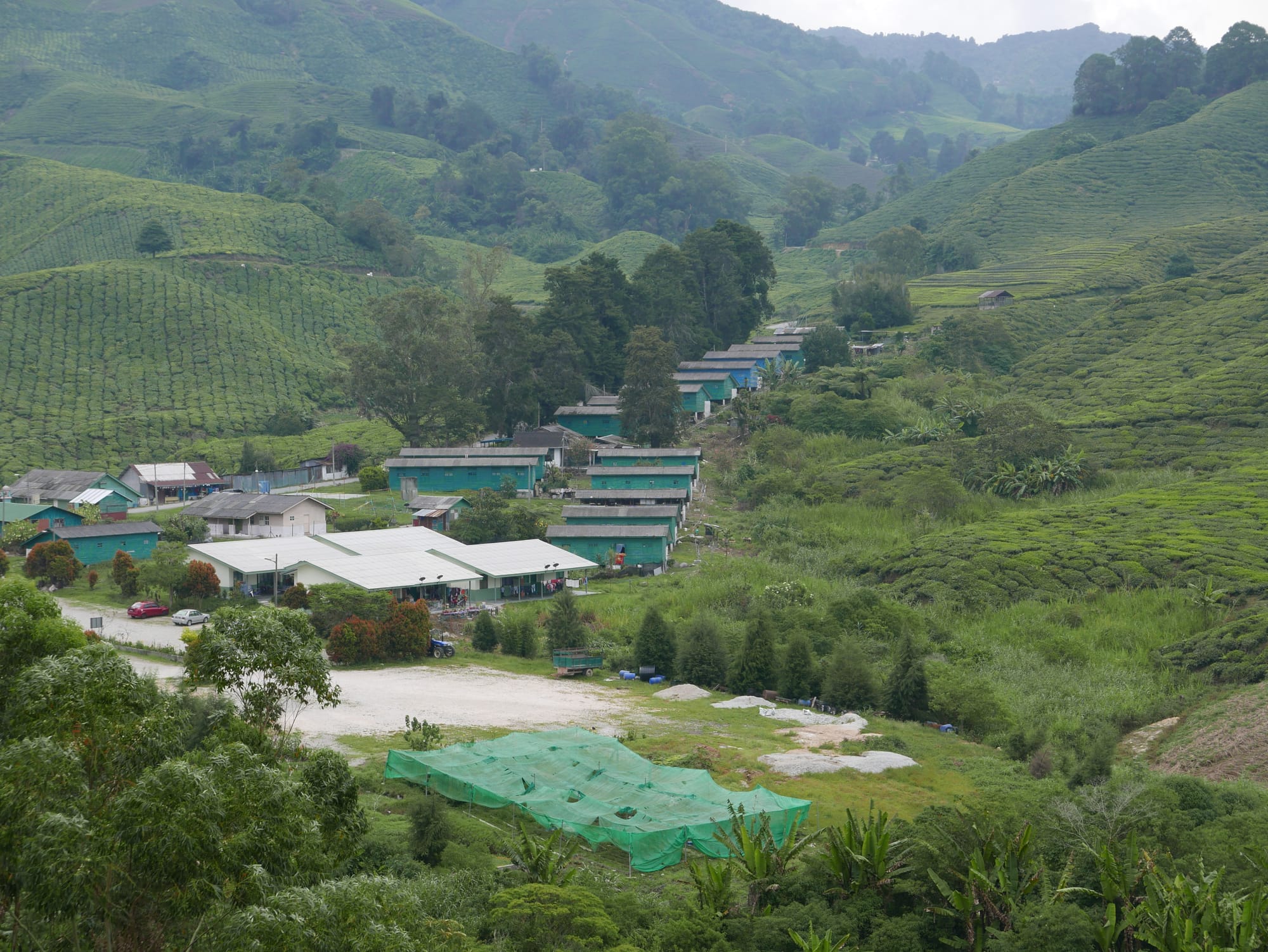 Photo by Author — worker’s village — BOH Sungei Palas Tea Centre, Cameron Highlands, Malaysia 