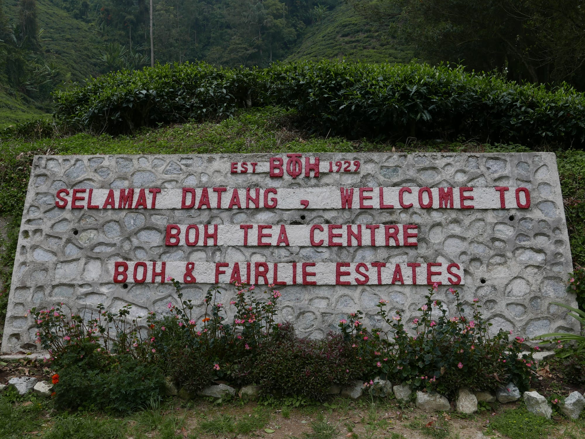 Photo by Author — welcome to the BOH Tea Plantations, Cameron Highlands, Malaysia