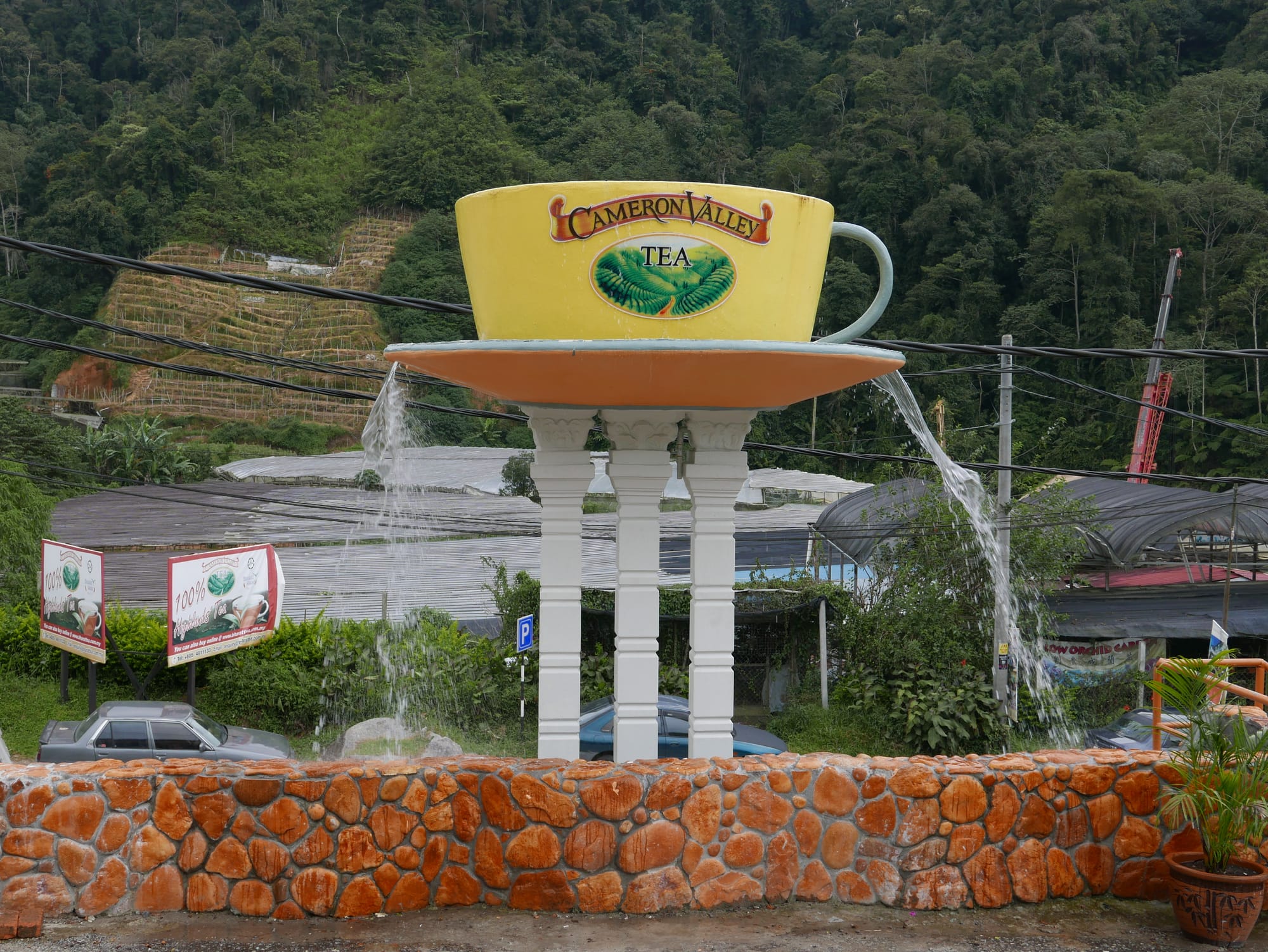 Photo by Author — Cameron Valley Tea House, Cameron Highlands, Malaysia