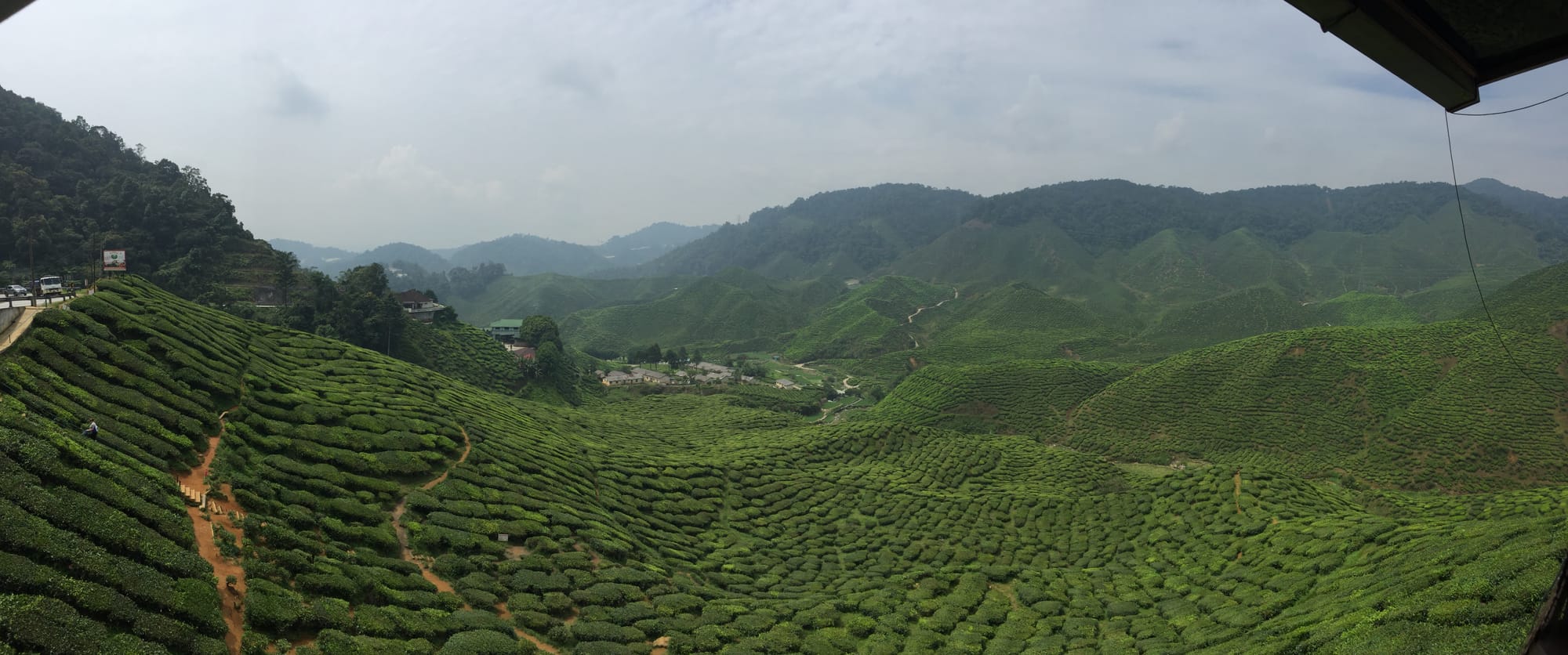 Photo by Author — Cameron Valley Tea House, and Cameron Bharat Tea Valley, Cameron Highland, Malaysia