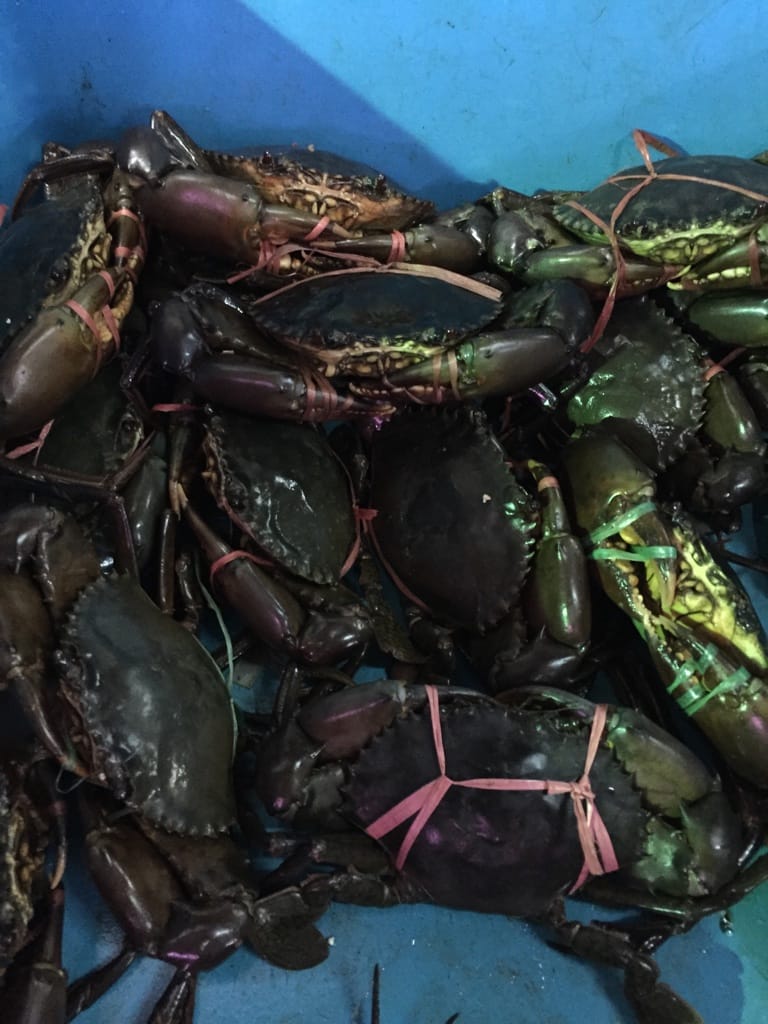 Photo by Author — live crabs at the Restoran Todak 旗鱼海番村, Johor Bahru, Malaysia