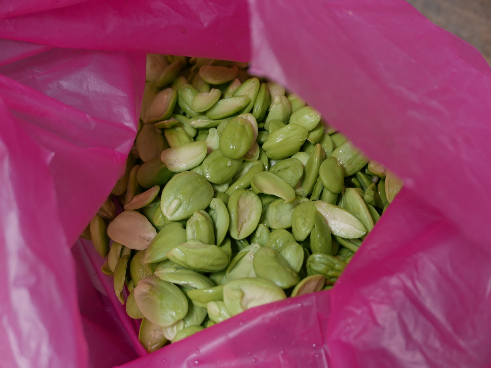 Photo by Author — Petai beans (Parkia speciosa) — driving up to the Cameron Highlands in Malaysia