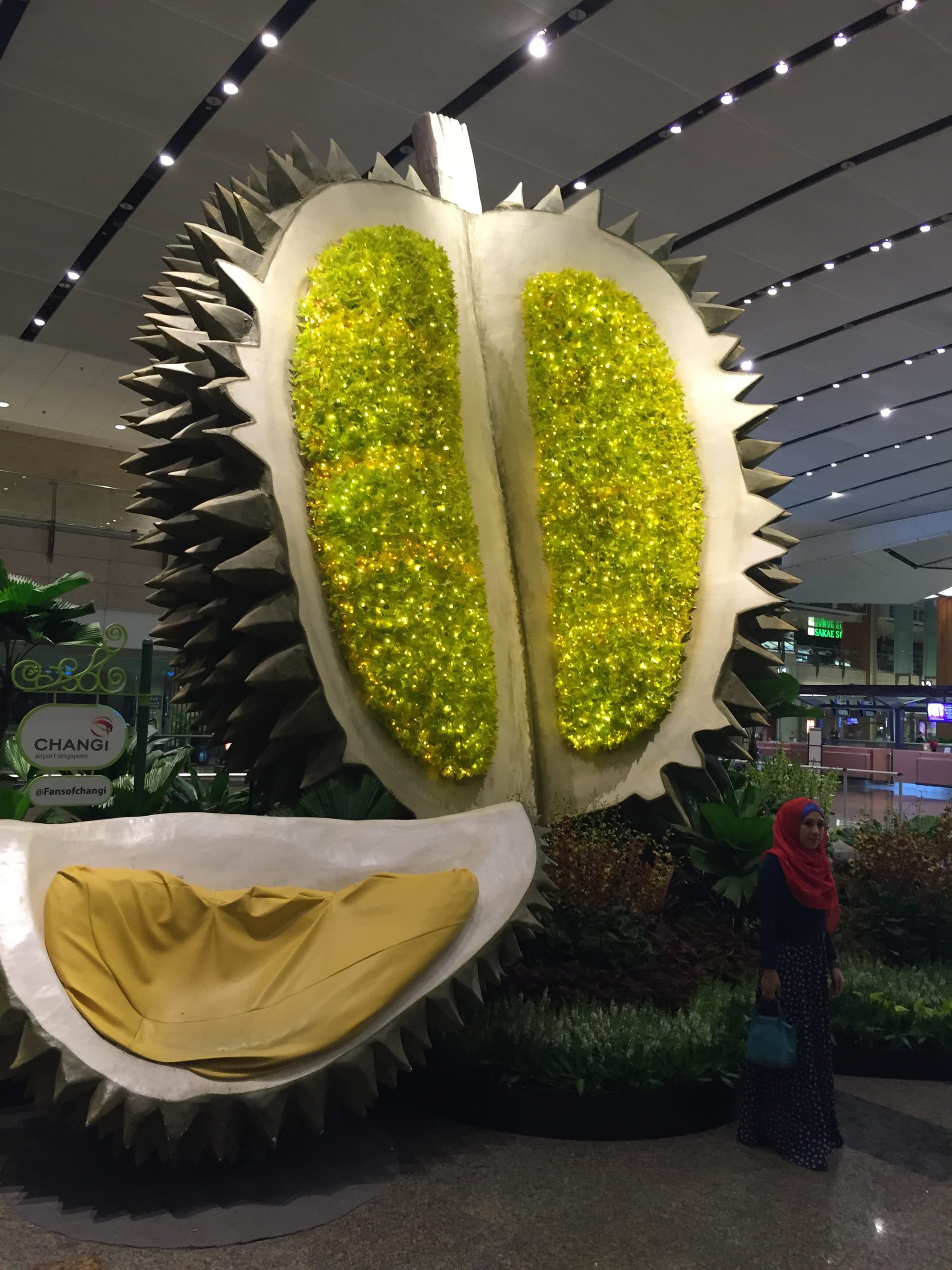 Photo by Author — a massive Durian model at Changi Airport, Singapore