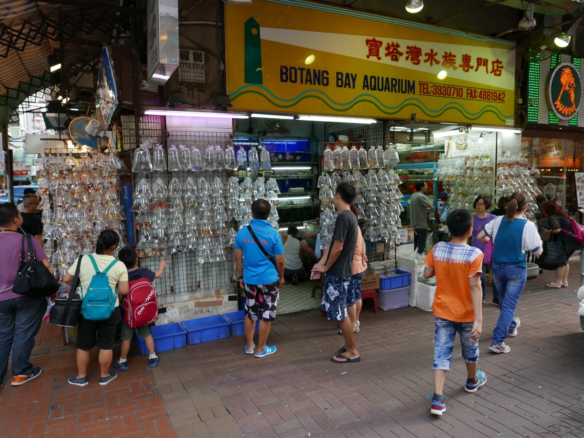 Photo by Author — Goldfish Market 金魚街, Hong Kong