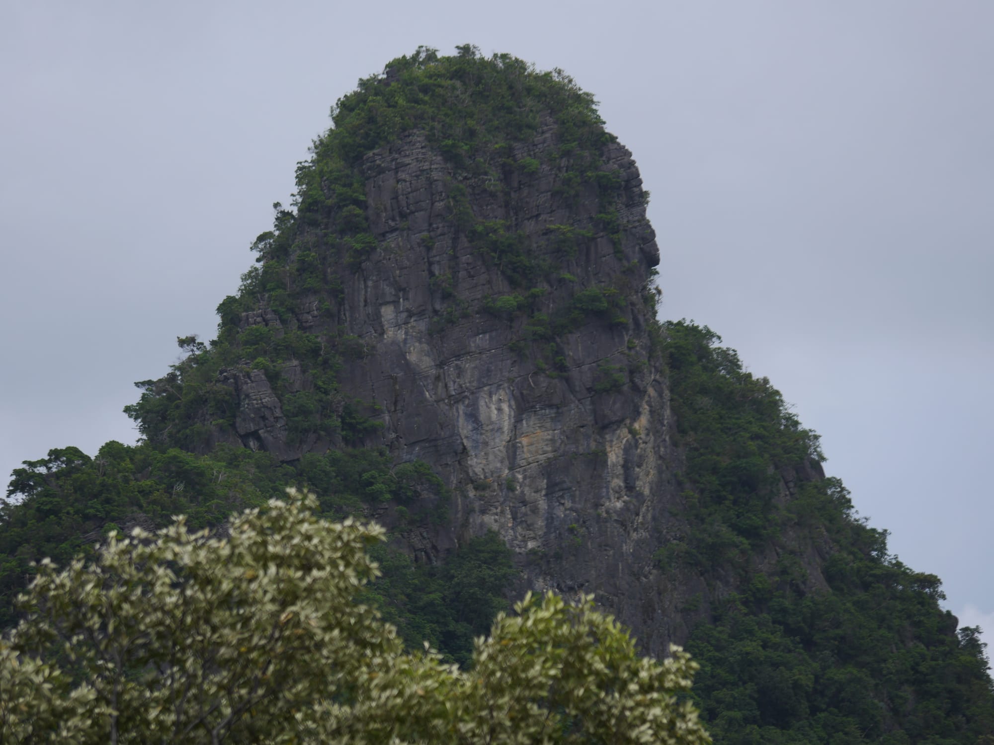 Photo by Author — Gorilla Mountain — Tg Rhu Mangrove Tour, Langkawi, Malaysia