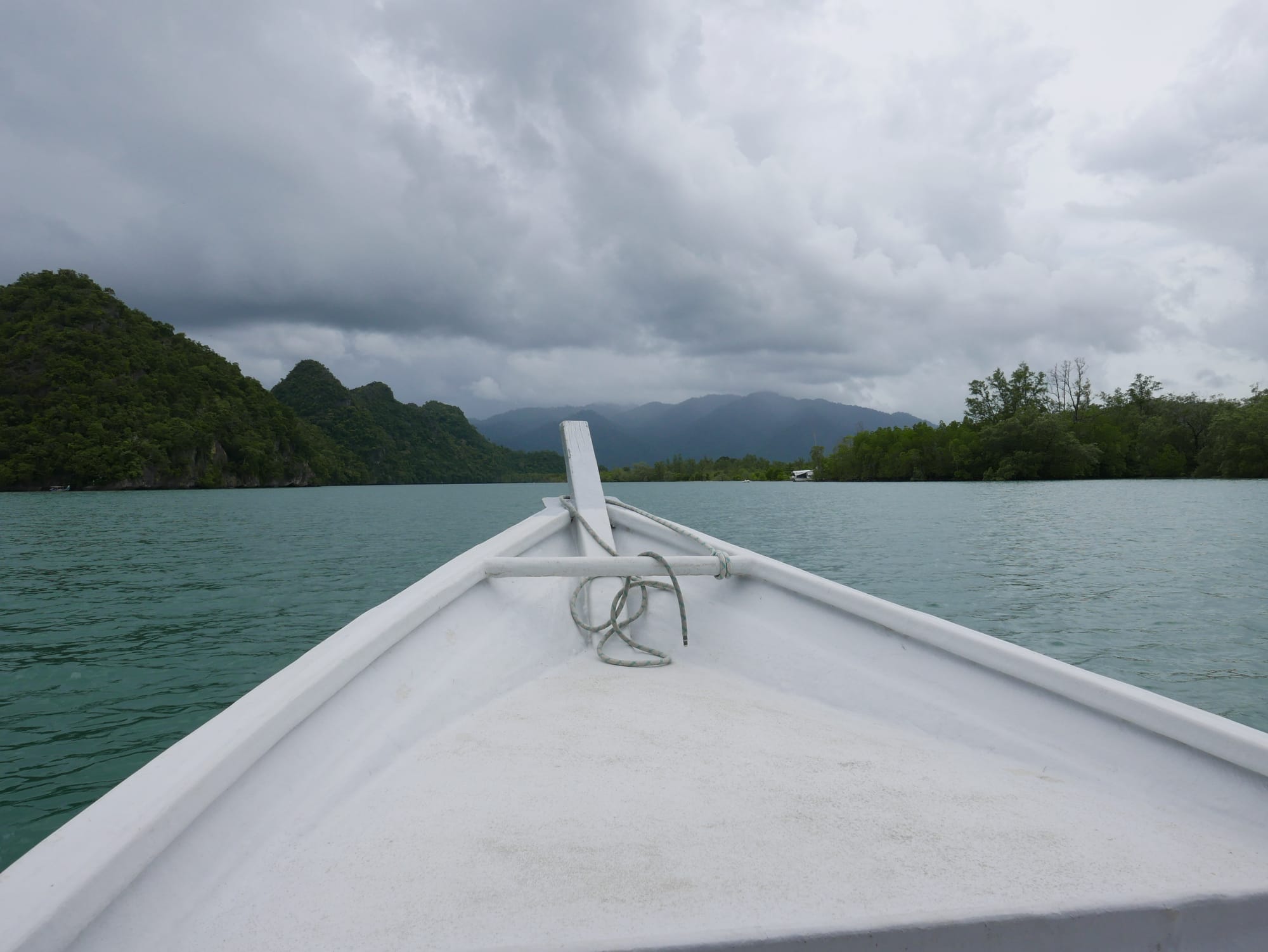 Photo by Author — on the boat to the swamp — Tg Rhu Mangrove Tour, Langkawi, Malaysia
