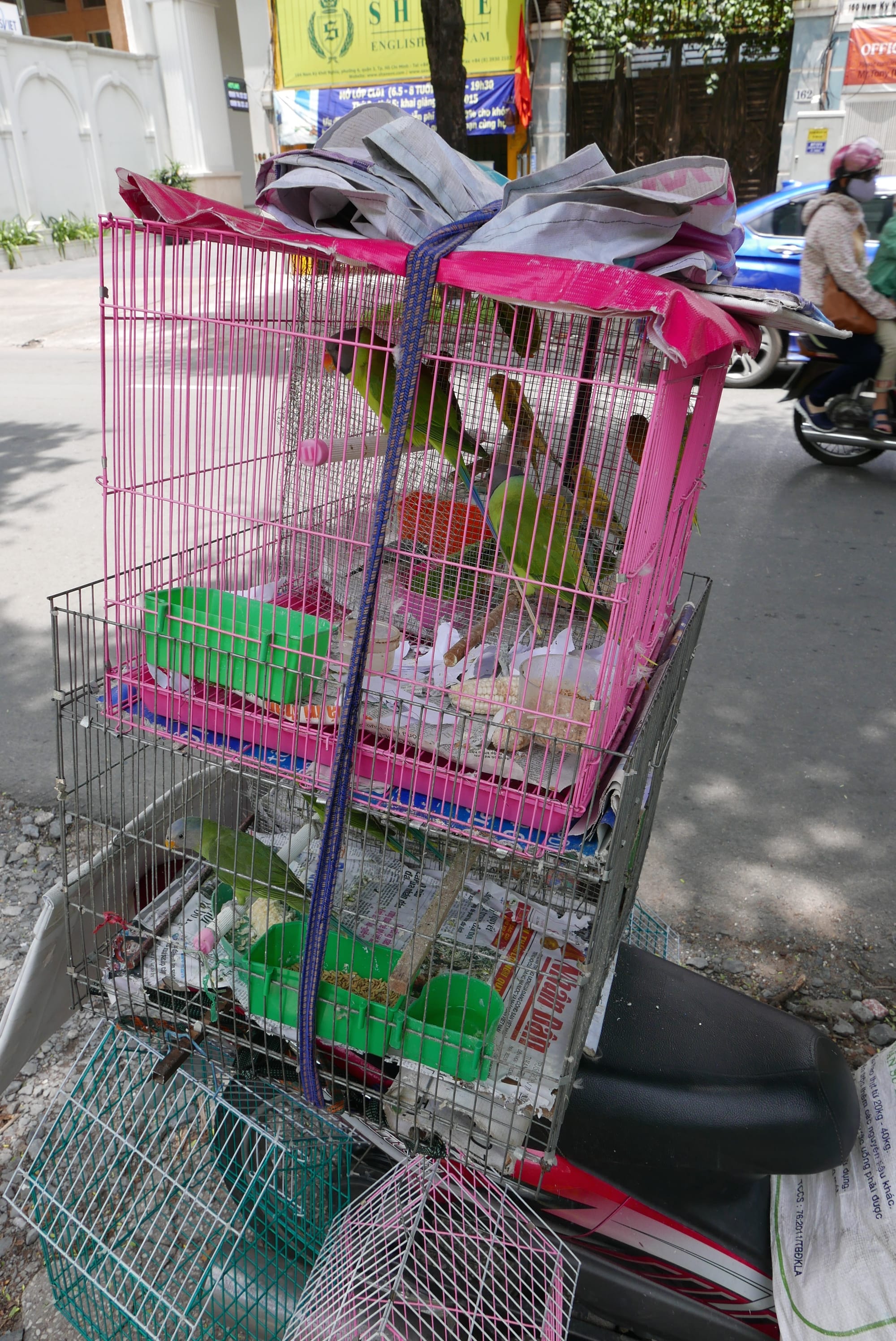 Photo by Author — caged birds on the street — photos from around Ho Chi Minh City (Saigon), Vietnam