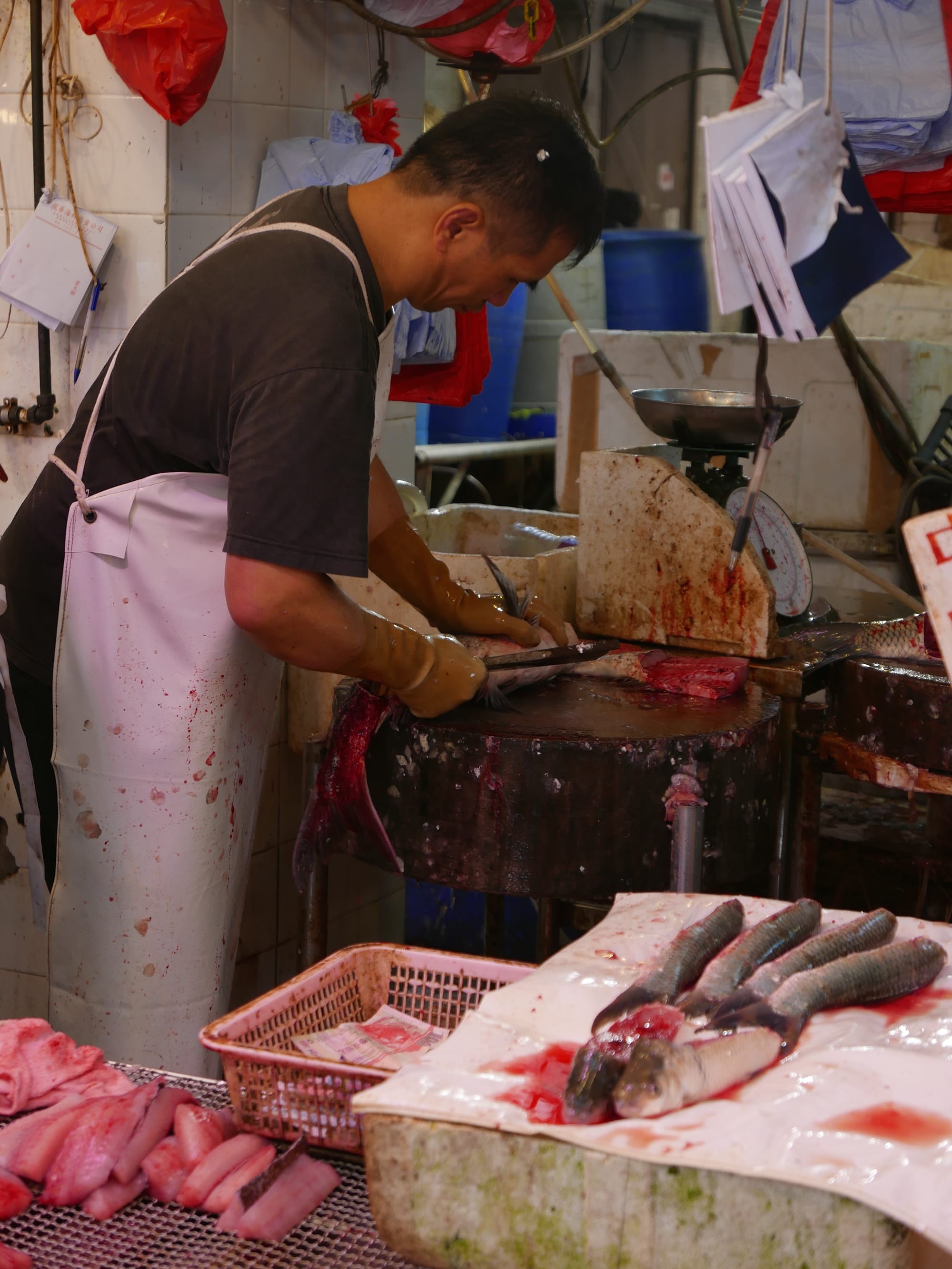 Photo by Author — fish at a Hong Kong street market