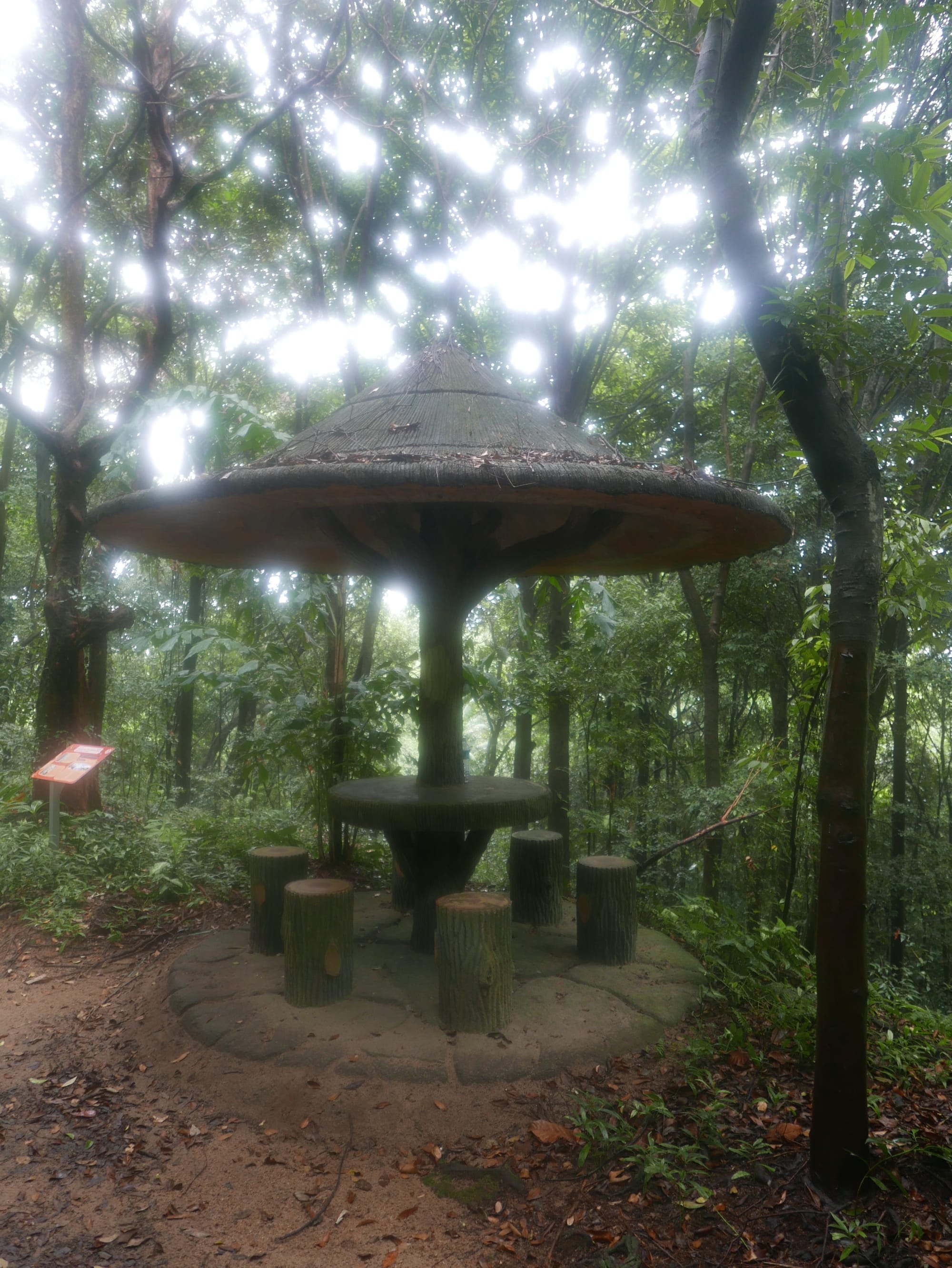Photo by Author — picnic table — Imbiah Trail, Sentosa, Singapore