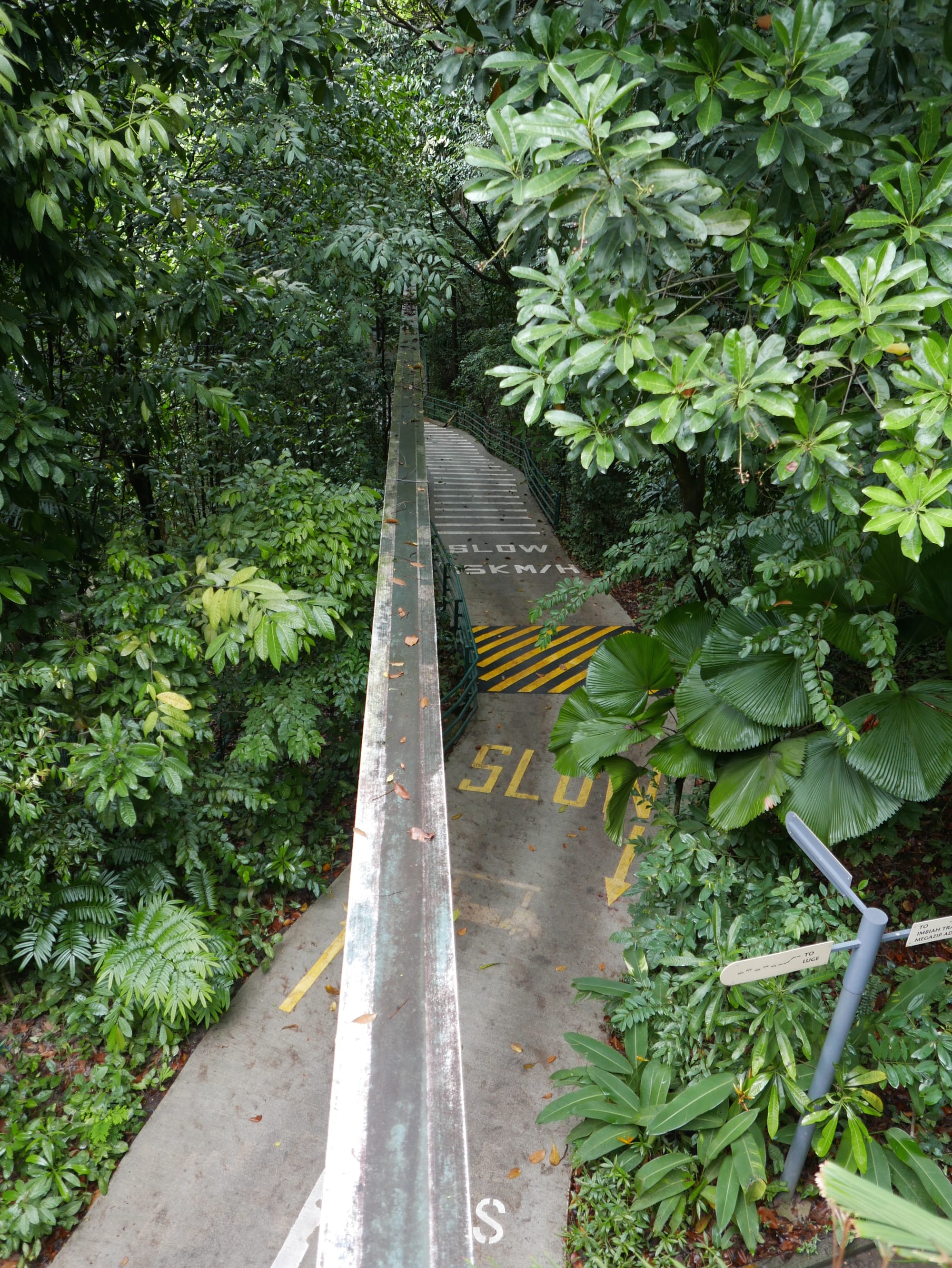 Photo by Author — the start of the trail — Imbiah Trail, Sentosa, Singapore
