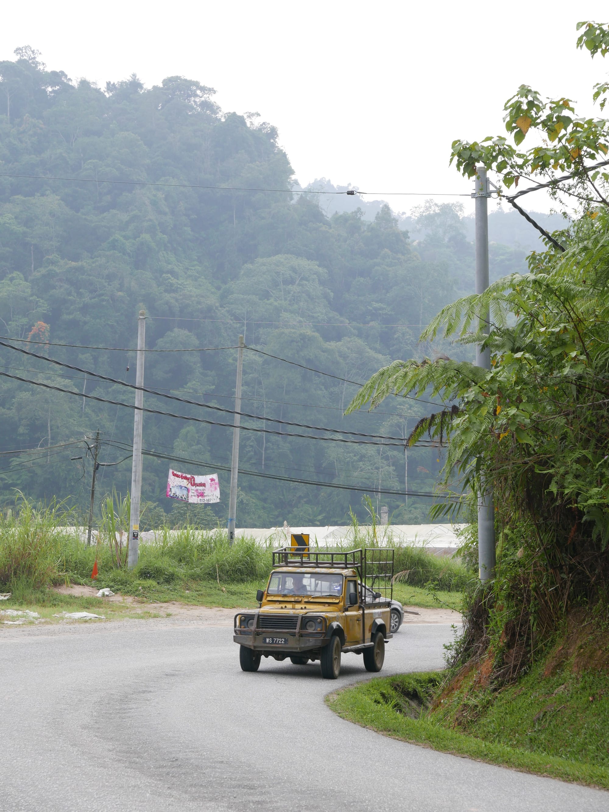 Photo by Author — Land Rovers in the Cameron Highlands, Malaysia