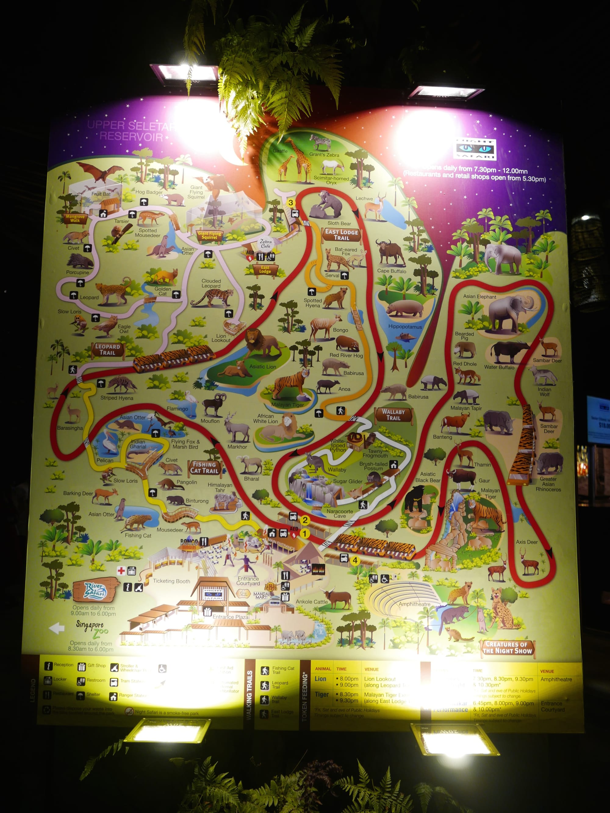 Photo by Author — a map of the Singapore Zoo Night Safari, Singapore