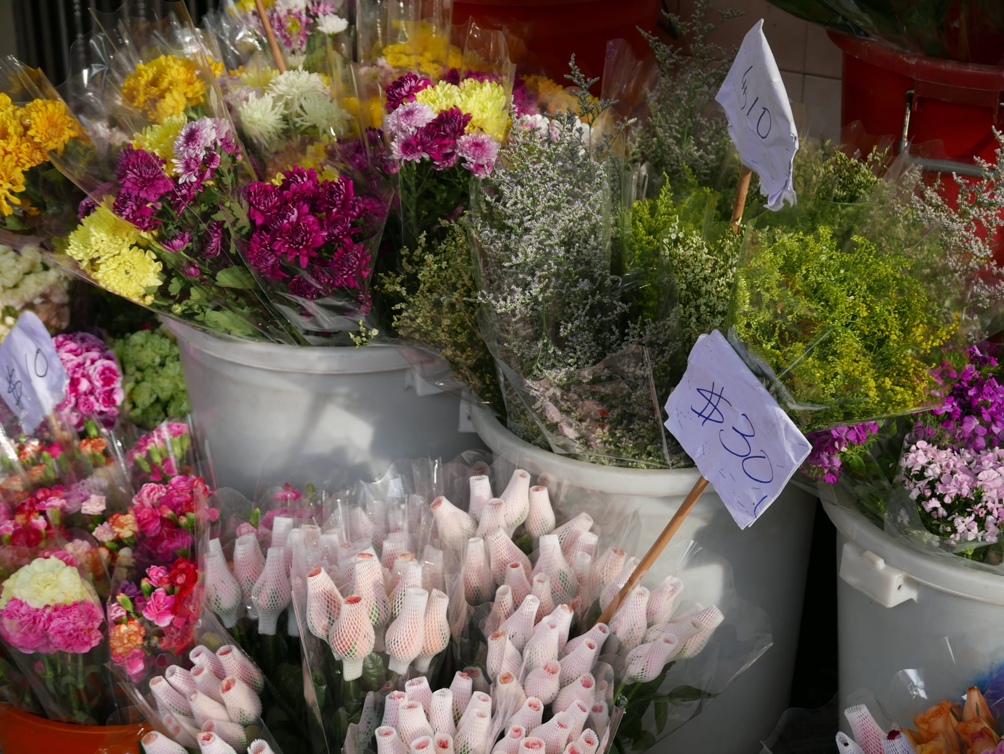 Photo by Author — Mongkok Flower Market 旺角花墟, Hong Kong