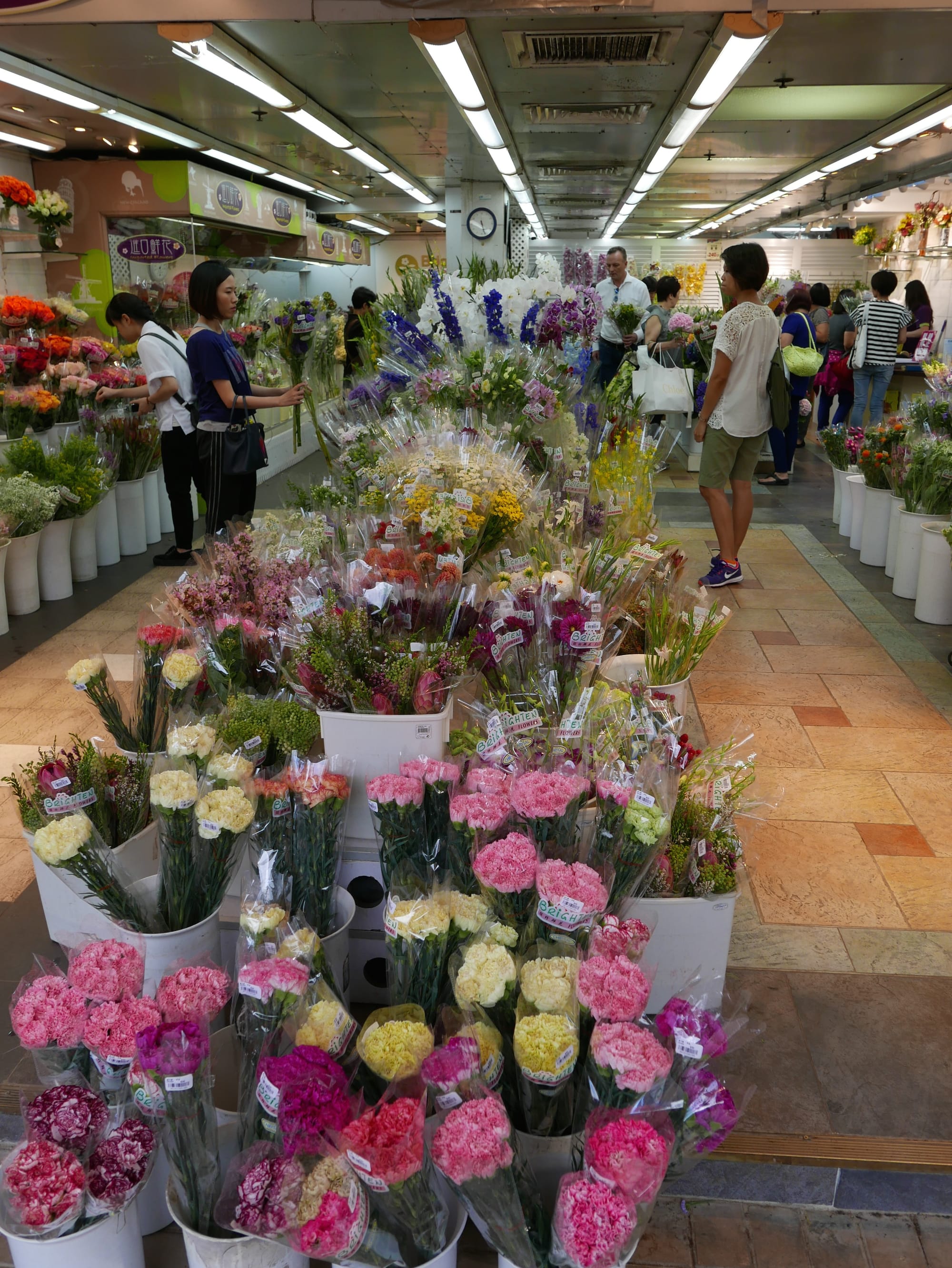 Photo by Author — Mongkok Flower Market 旺角花墟, Hong Kong