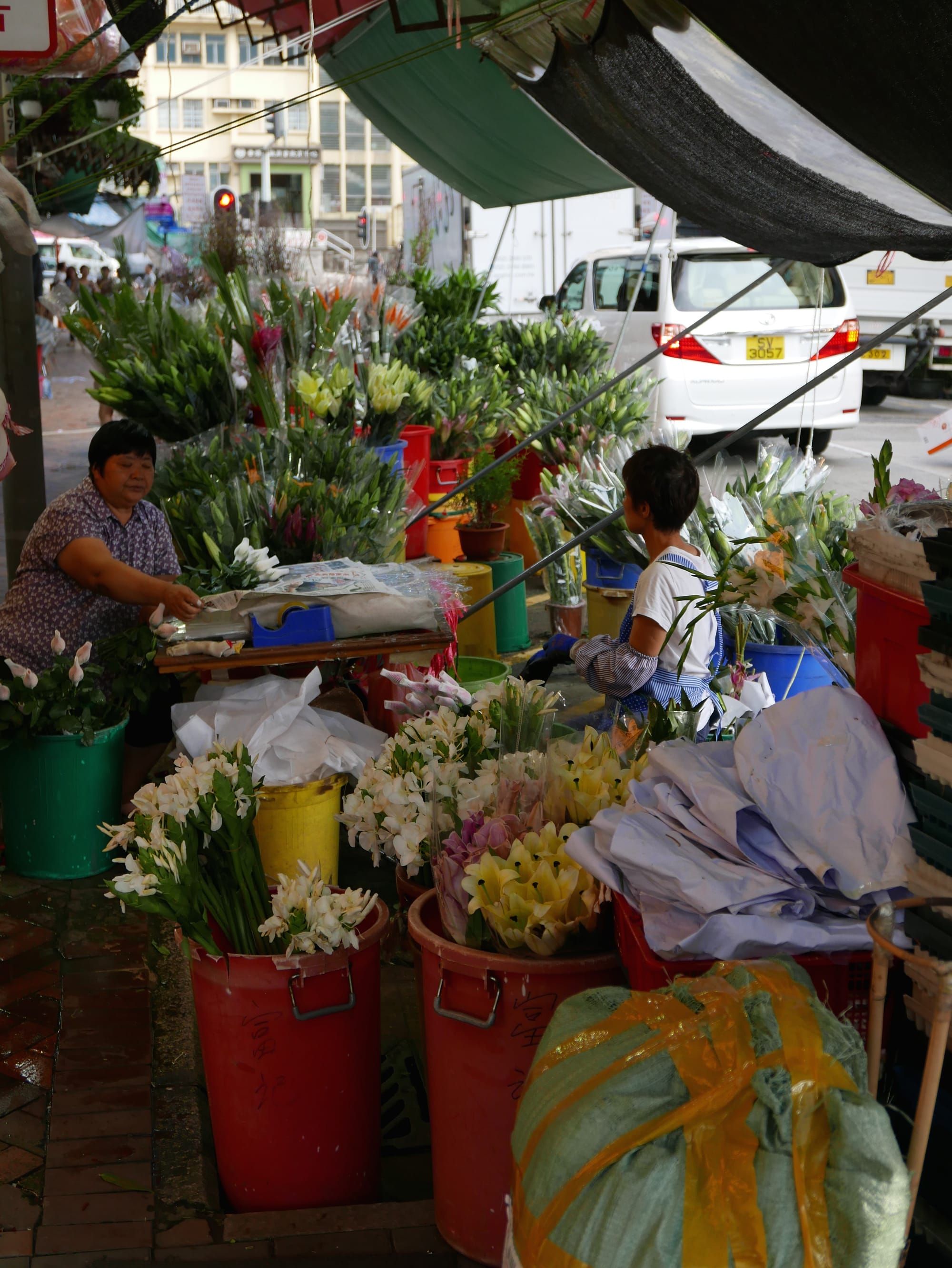 Photo by Author — Mongkok Flower Market 旺角花墟, Hong Kong