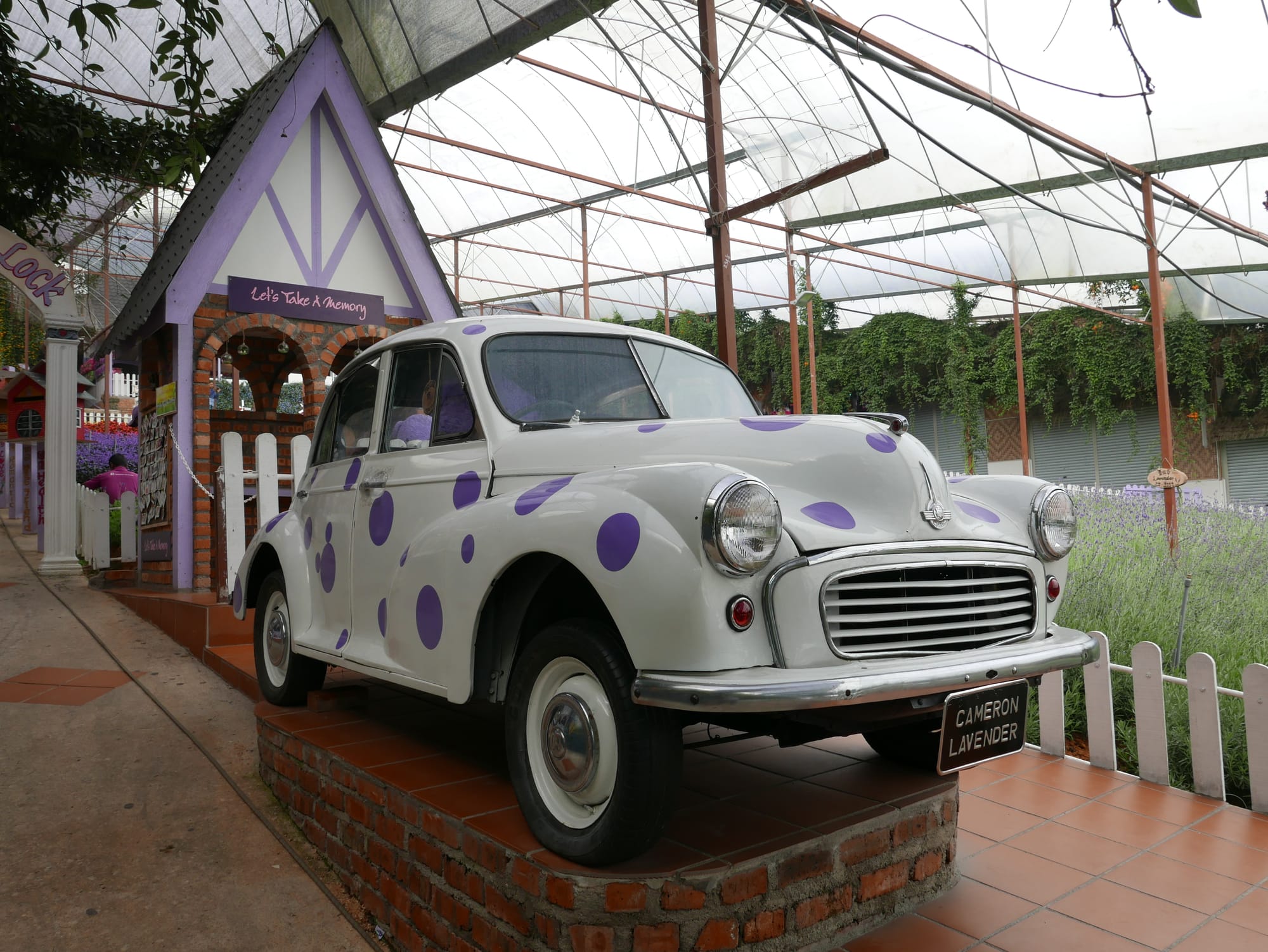 Photo by Author — an old split-screen Morris Minor — Cameron Lavender Garden, The Highlands, Malaysia