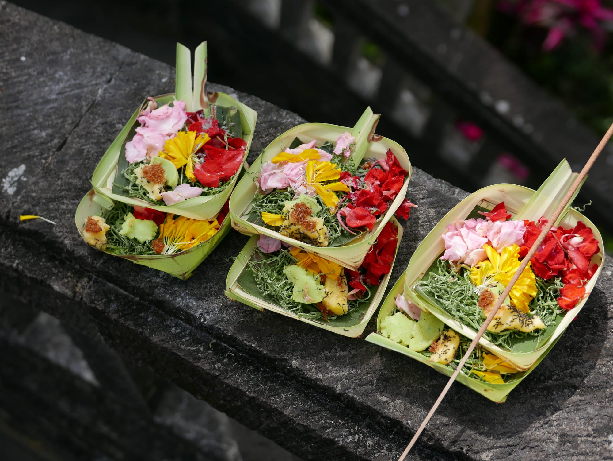 Photo by Author — offerings at the shrine — Shrines in Bali, Indonesia