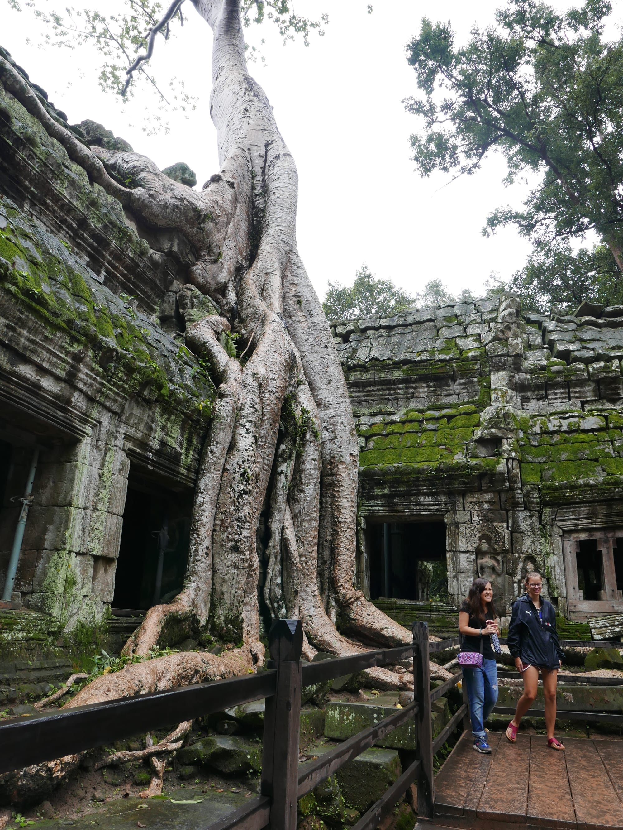 Photo by Author — a tree growing over the temple — Ta Prohm (ប្រាសាទតាព្រហ្ម), Angkor Archaeological Park, Angkor, Cambodia