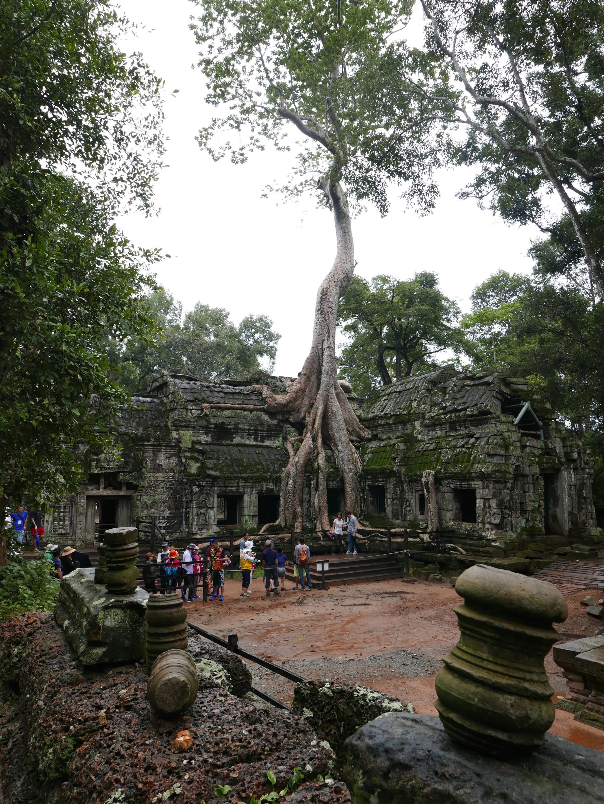 Photo by Author — how can a building survive this happening to it — Ta Prohm (ប្រាសាទតាព្រហ្ម), Angkor Archaeological Park, Angkor, Cambodia