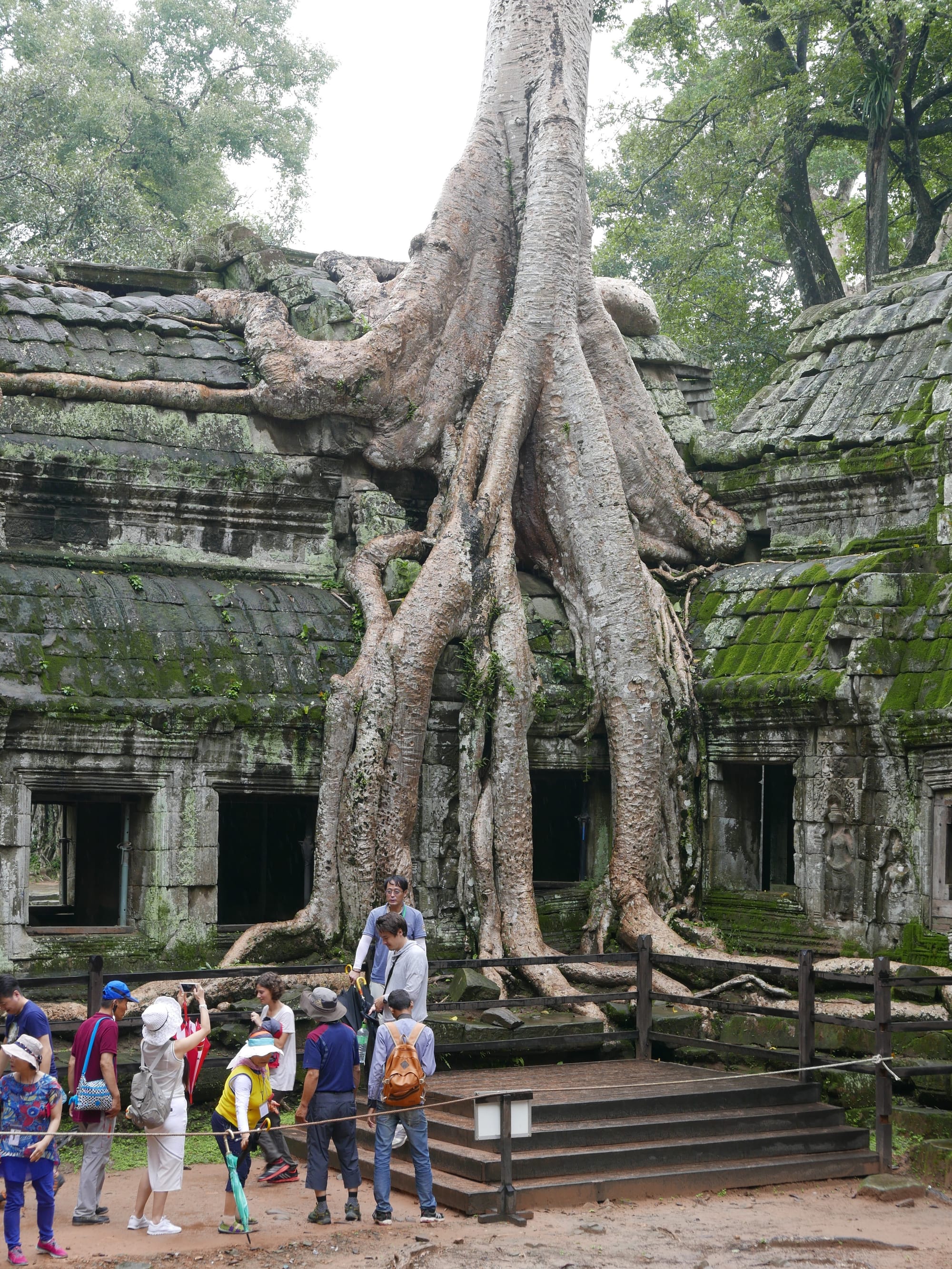 Photo by Author — how can a building survive this happening to it — Ta Prohm (ប្រាសាទតាព្រហ្ម), Angkor Archaeological Park, Angkor, Cambodia
