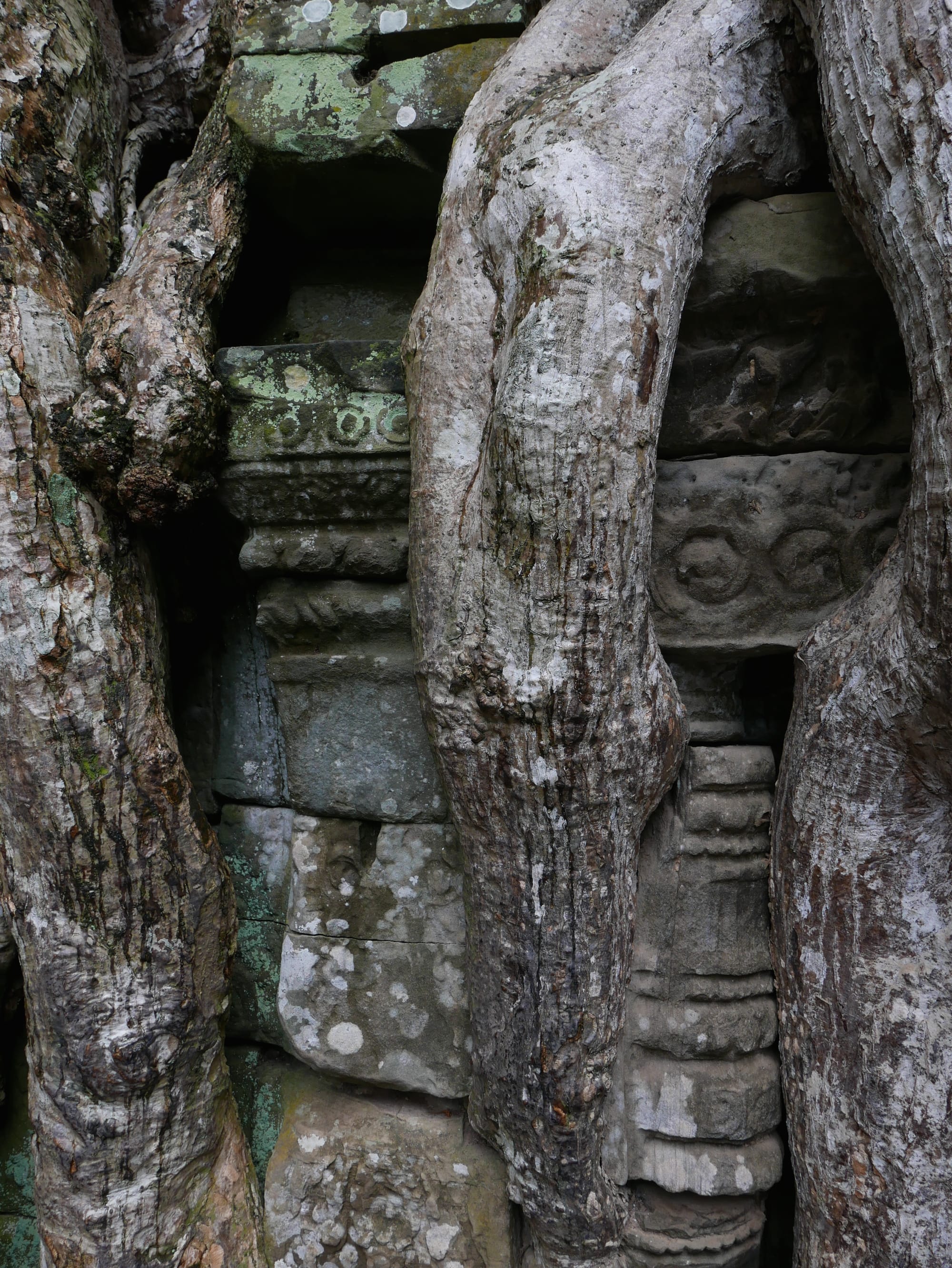 Photo by Author — trees growing over the stonework at Ta Prohm (ប្រាសាទតាព្រហ្ម), Angkor Archaeological Park, Angkor, Cambodia
