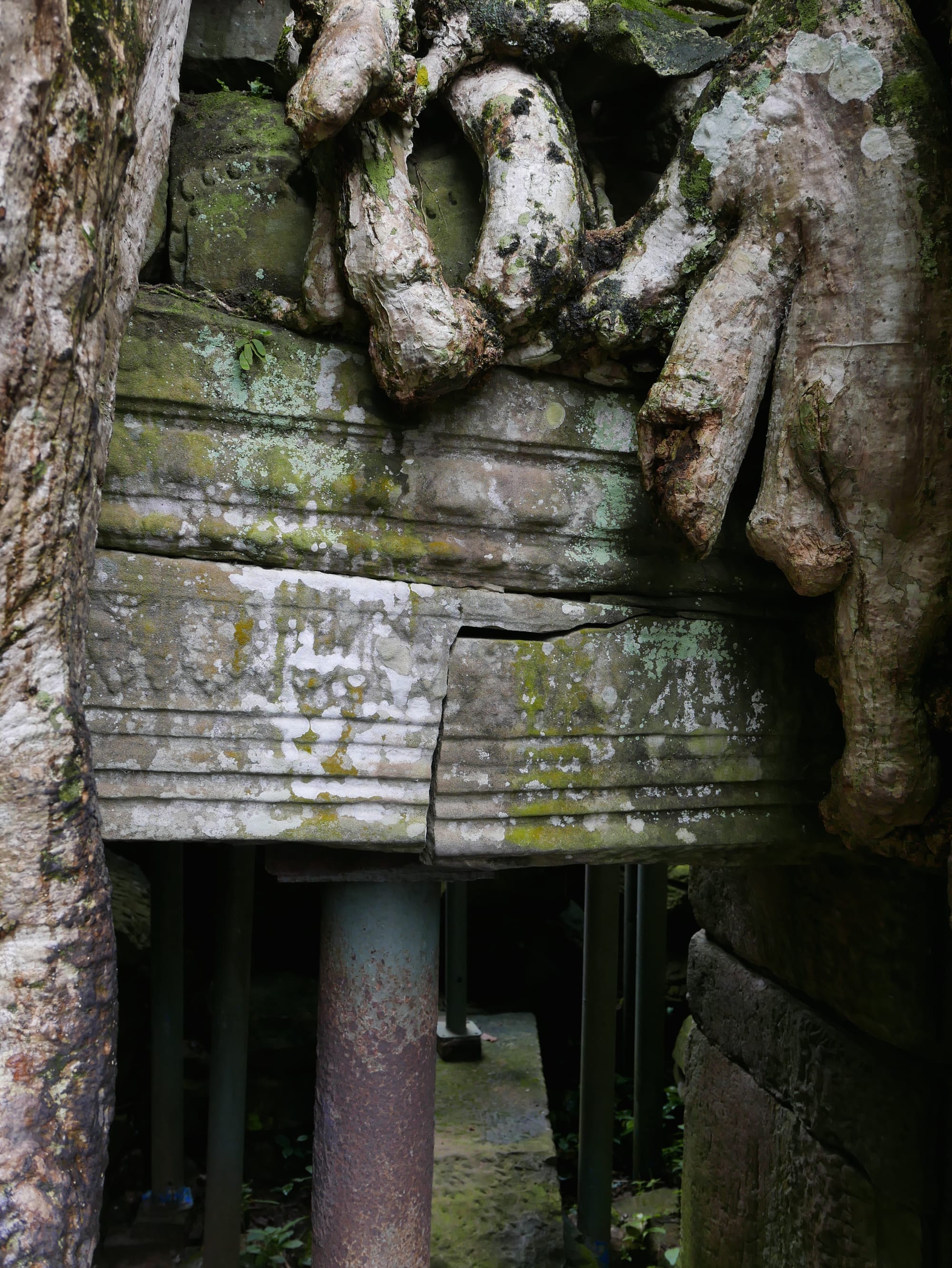 Photo by Author — a lintel cracked by a tree — Ta Prohm (ប្រាសាទតាព្រហ្ម), Angkor Archaeological Park, Angkor, Cambodia