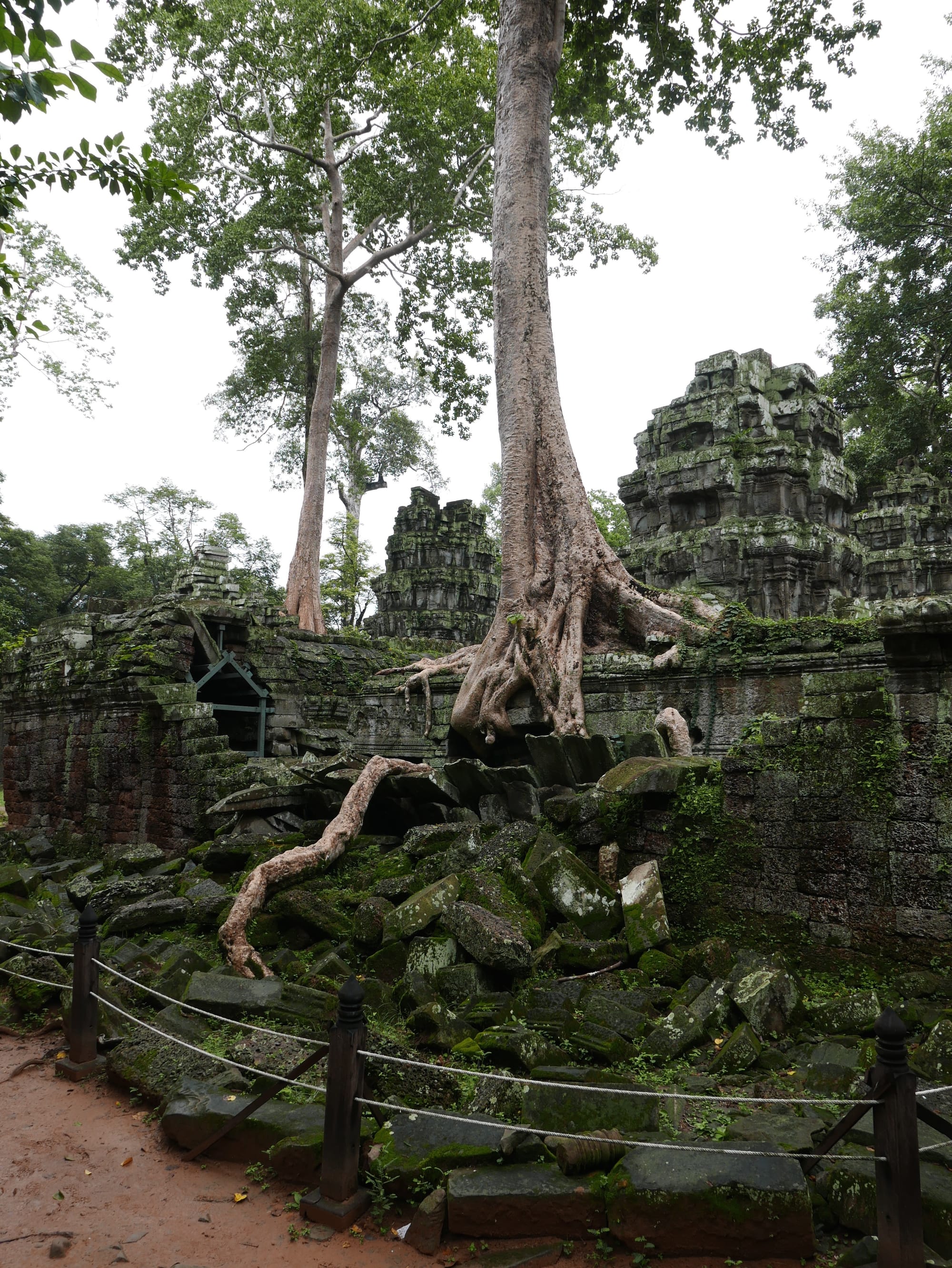 Photo by Author — Ta Prohm (ប្រាសាទតាព្រហ្ម), Angkor Archaeological Park, Angkor, Cambodia
