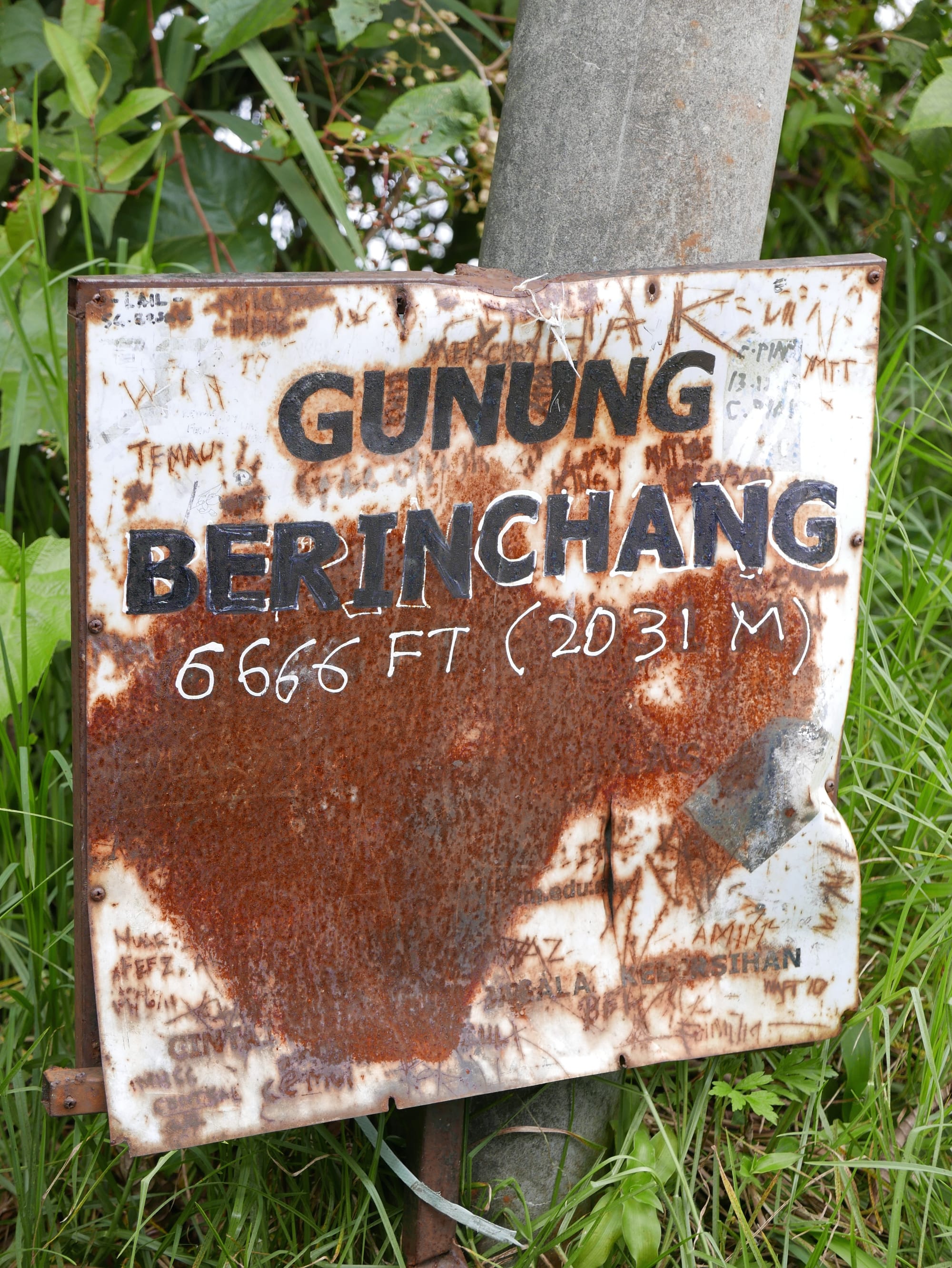 Photo by Author — Puncak Gunung Brinchang, Cameron Highlands, Malaysia