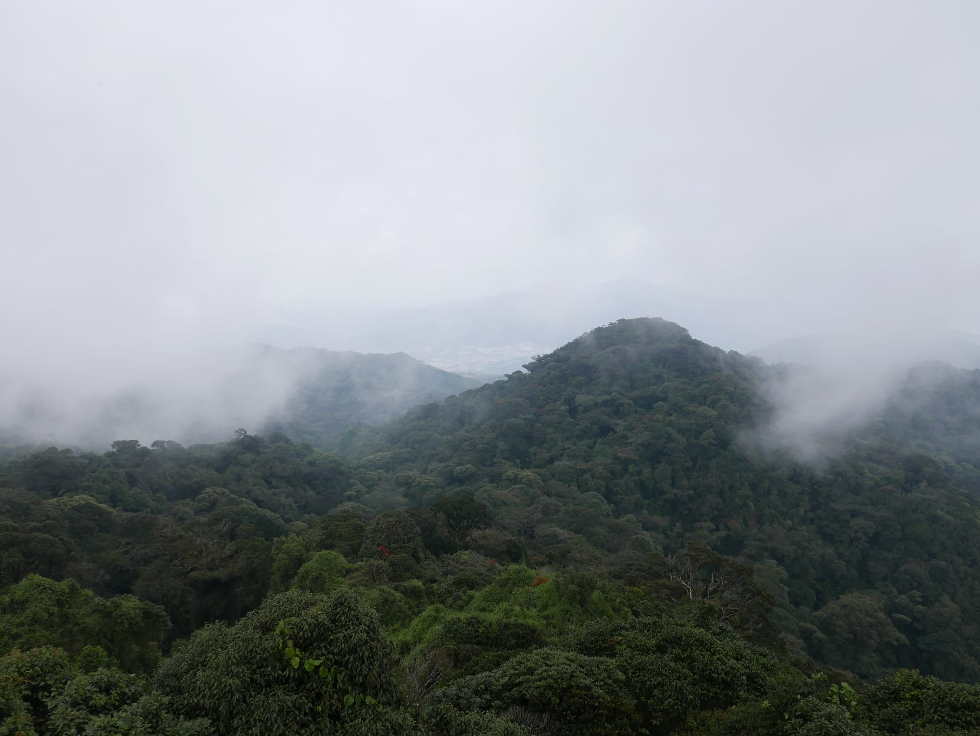 Photo by Author — looking over the forest from Puncak Gunung Brinchang and Watch Tower, Cameron Highlands, Malaysia
