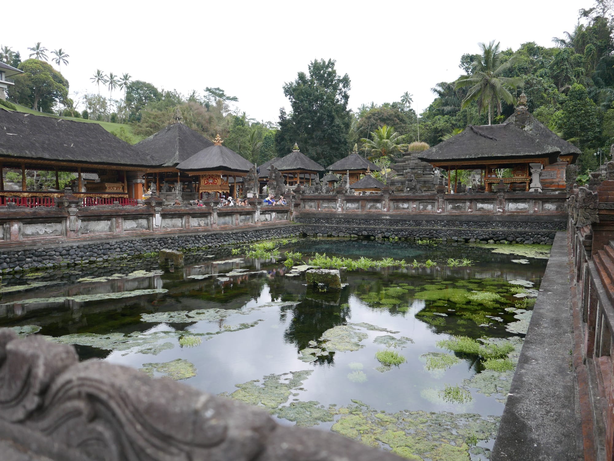 Photo by Author — a pool at the Pura Tirta Empul (Tirta Empul Temple), Bali, Indonesia