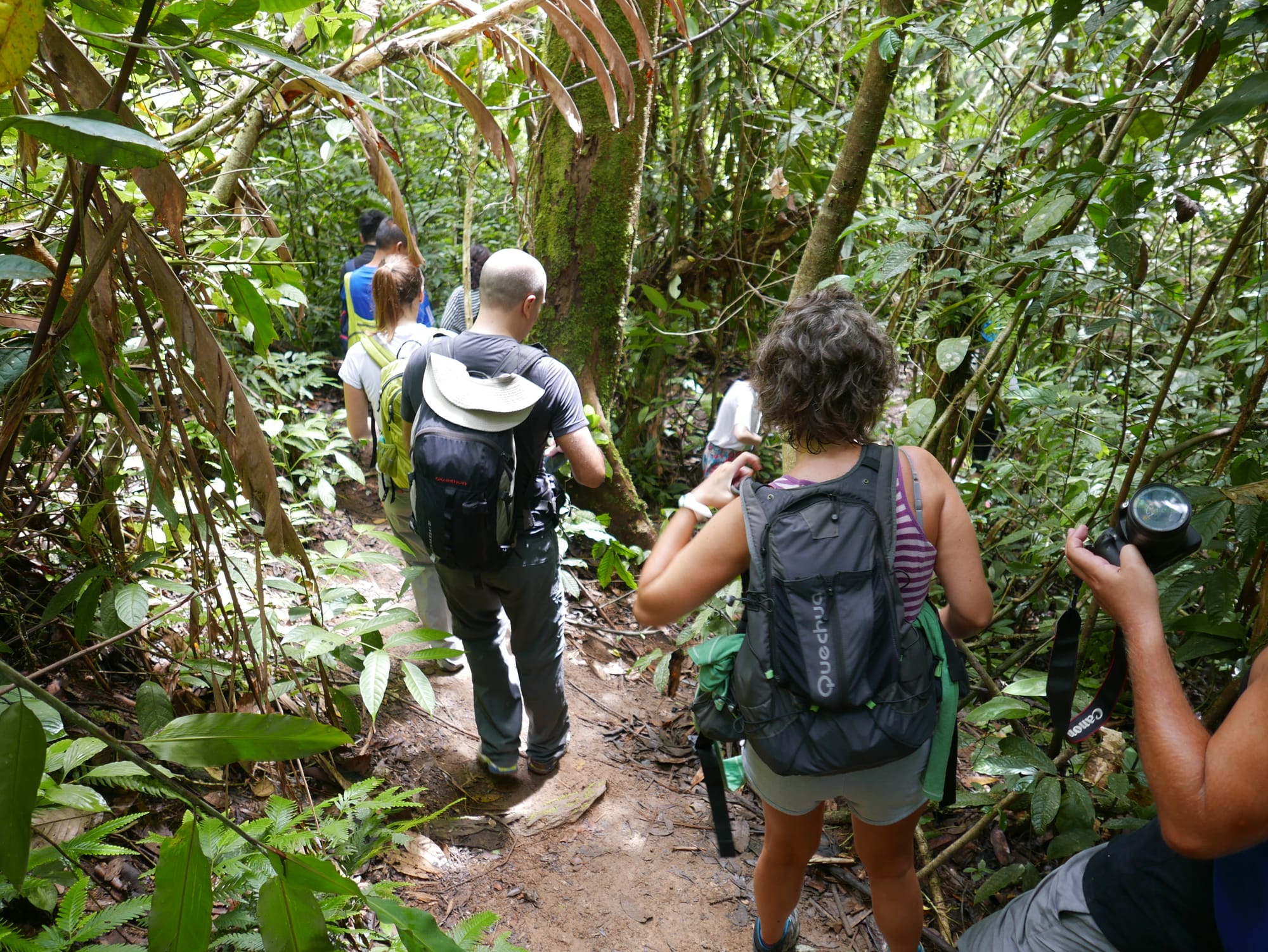 Photo by Author — hiking to see the Rafflesia — Cameron Highlands, Malaysia