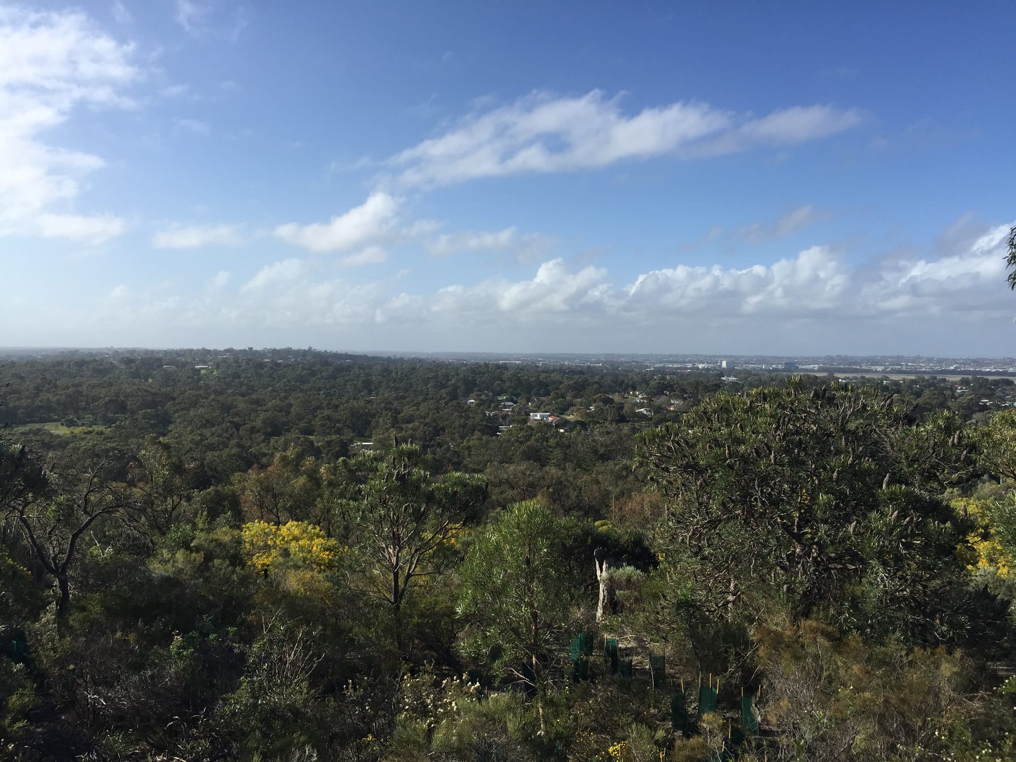 Photo by Author — views from Bold Park Reserve, Perth, Australia