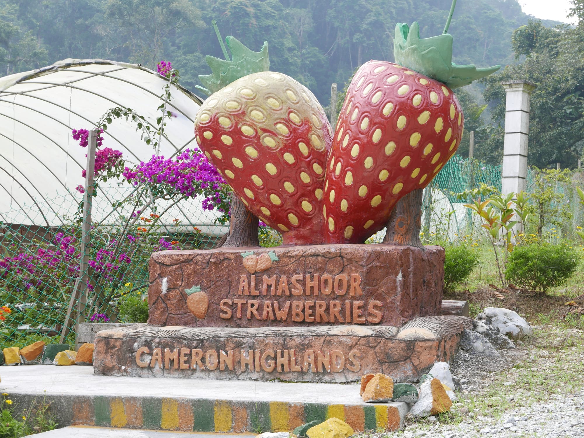 Photo by Author — Strawberries sculptures in the Cameron Highlands, Malaysia