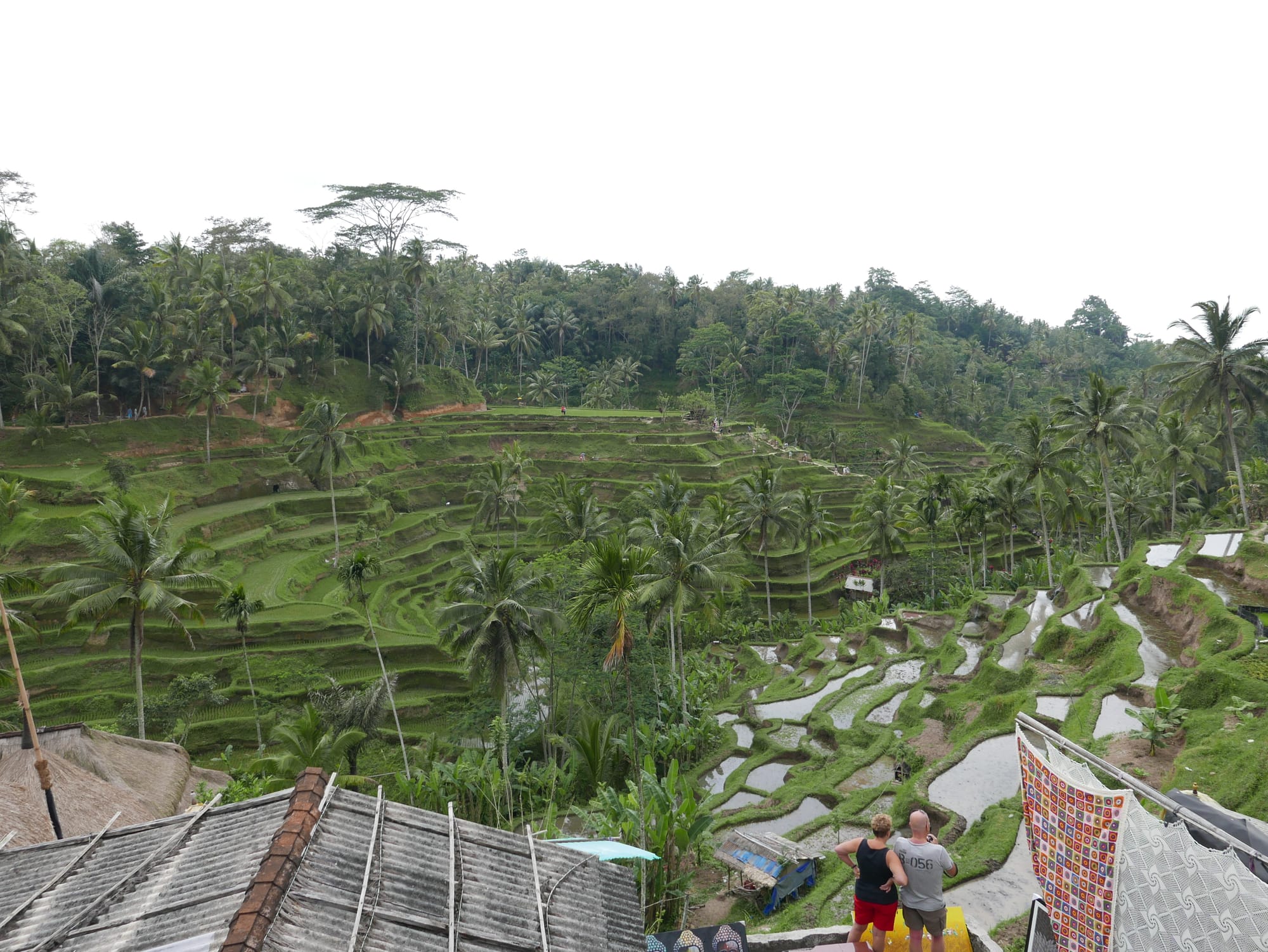 Photo by Author — The Tegallalang Rice Terraces, Bali, Indonesia