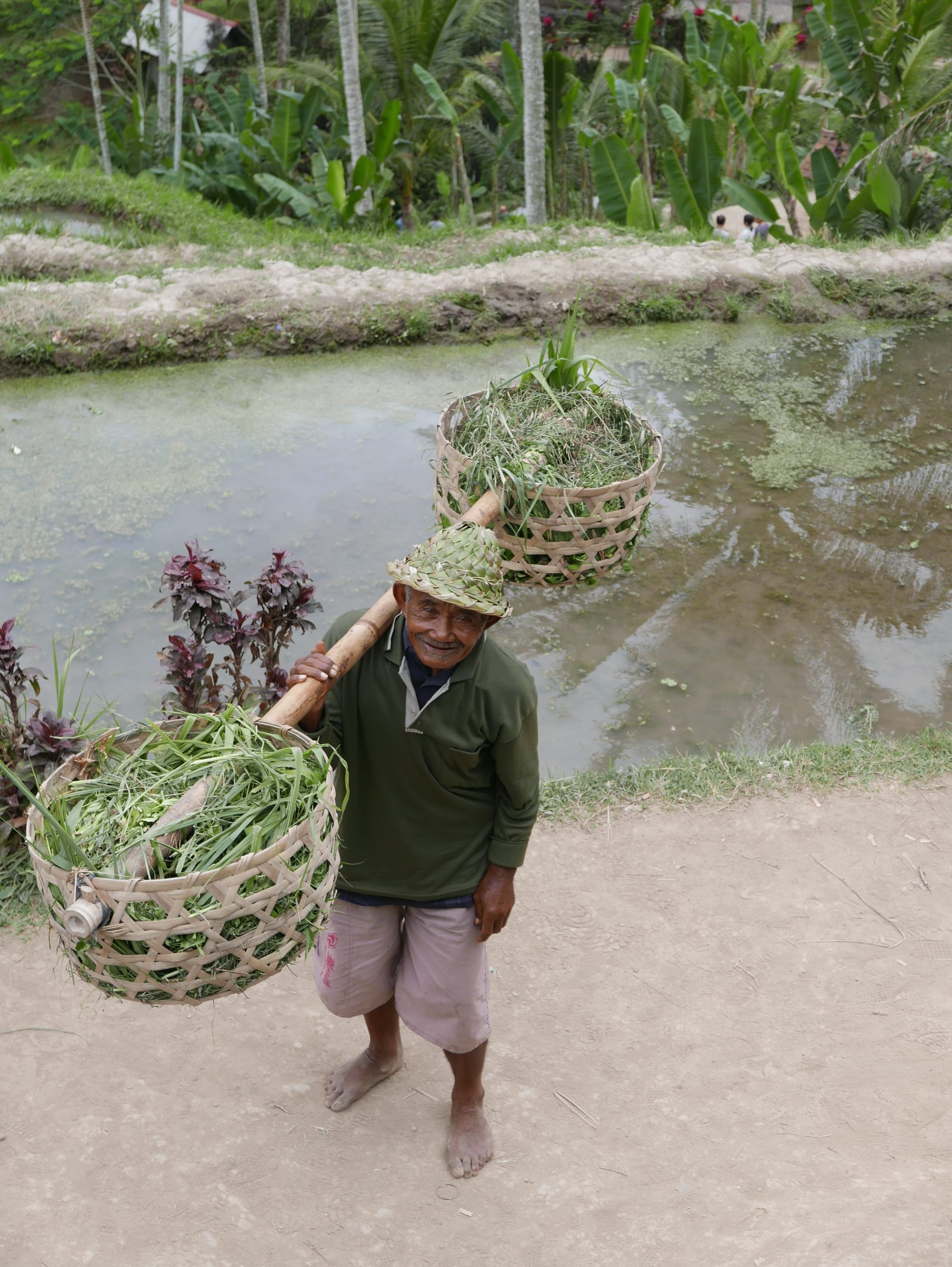 Photo by Author — a model posing for a photograph at the Tegallalang Rice Terraces, Bali, Indonesia