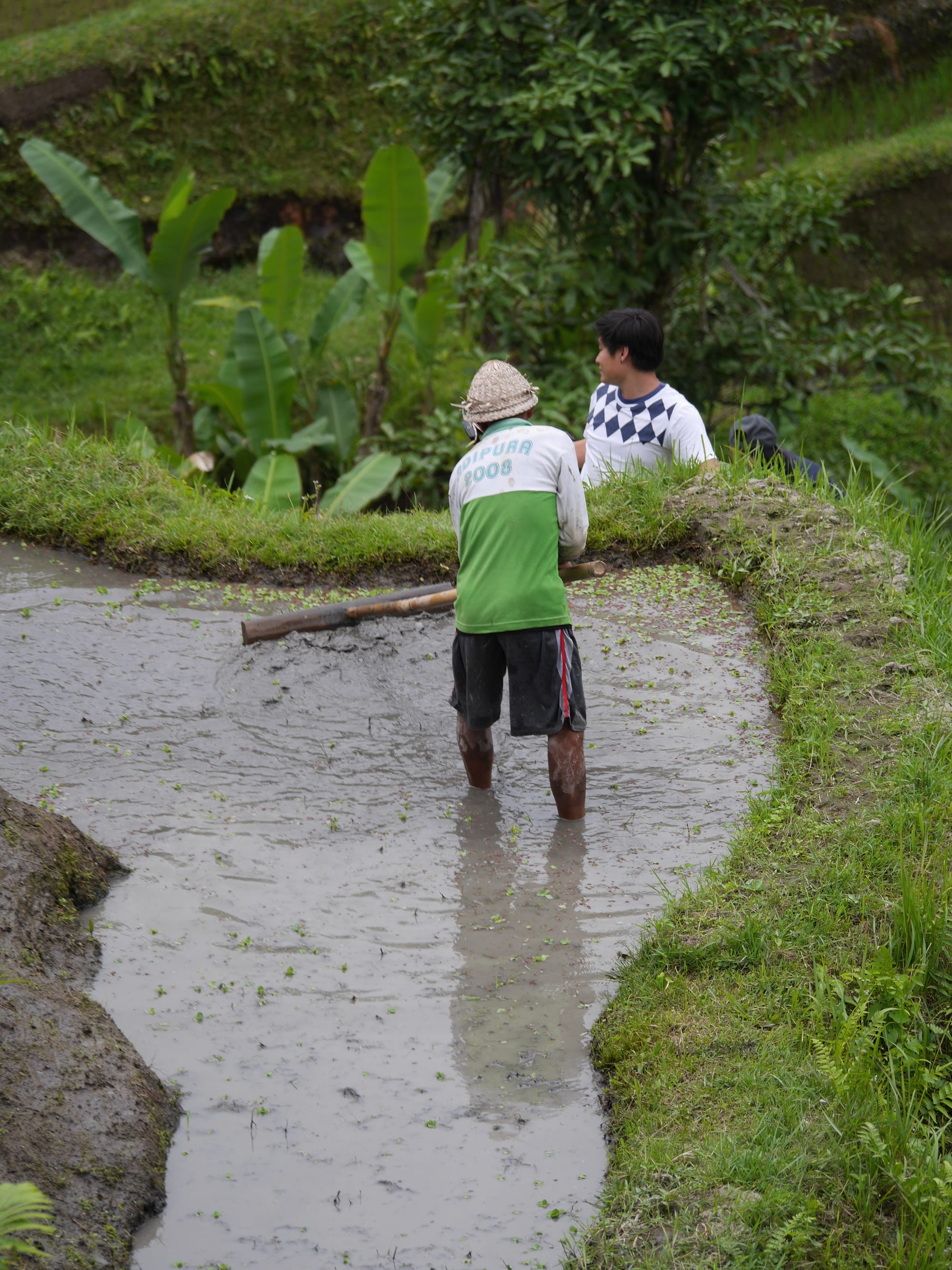 Photo by Author — a worker at the Tegallalang Rice Terraces, Bali, Indonesia