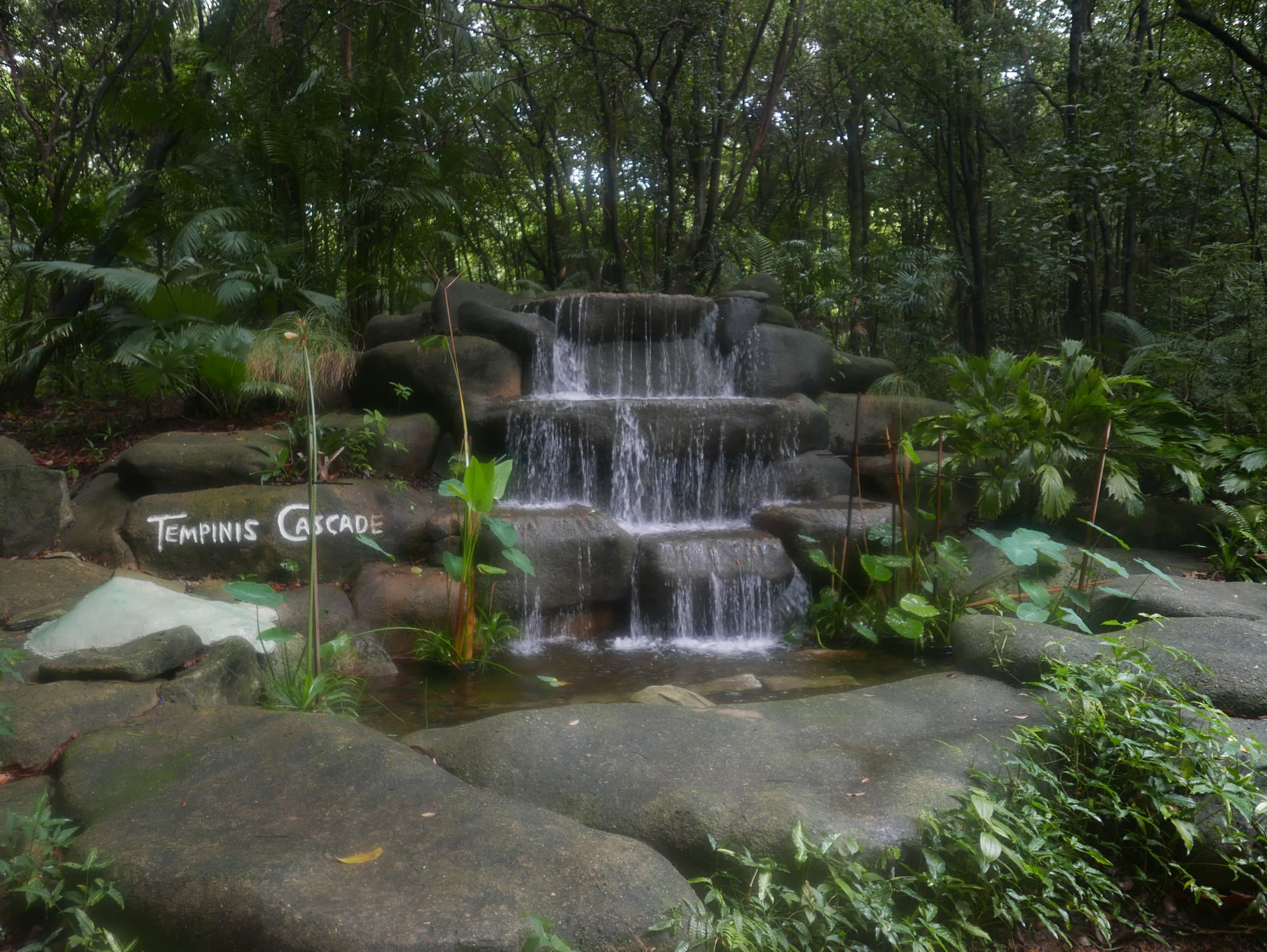 Photo by Author — Tempinis Cascade — Imbiah Trail, Sentosa, Singapore