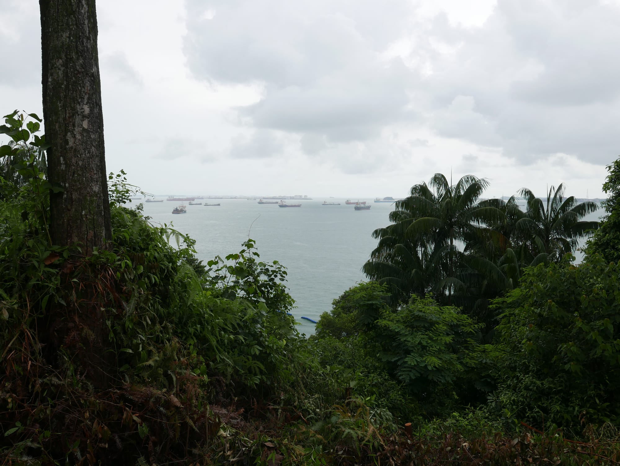 Photo by Author — view from Fort Siloso, Singapore