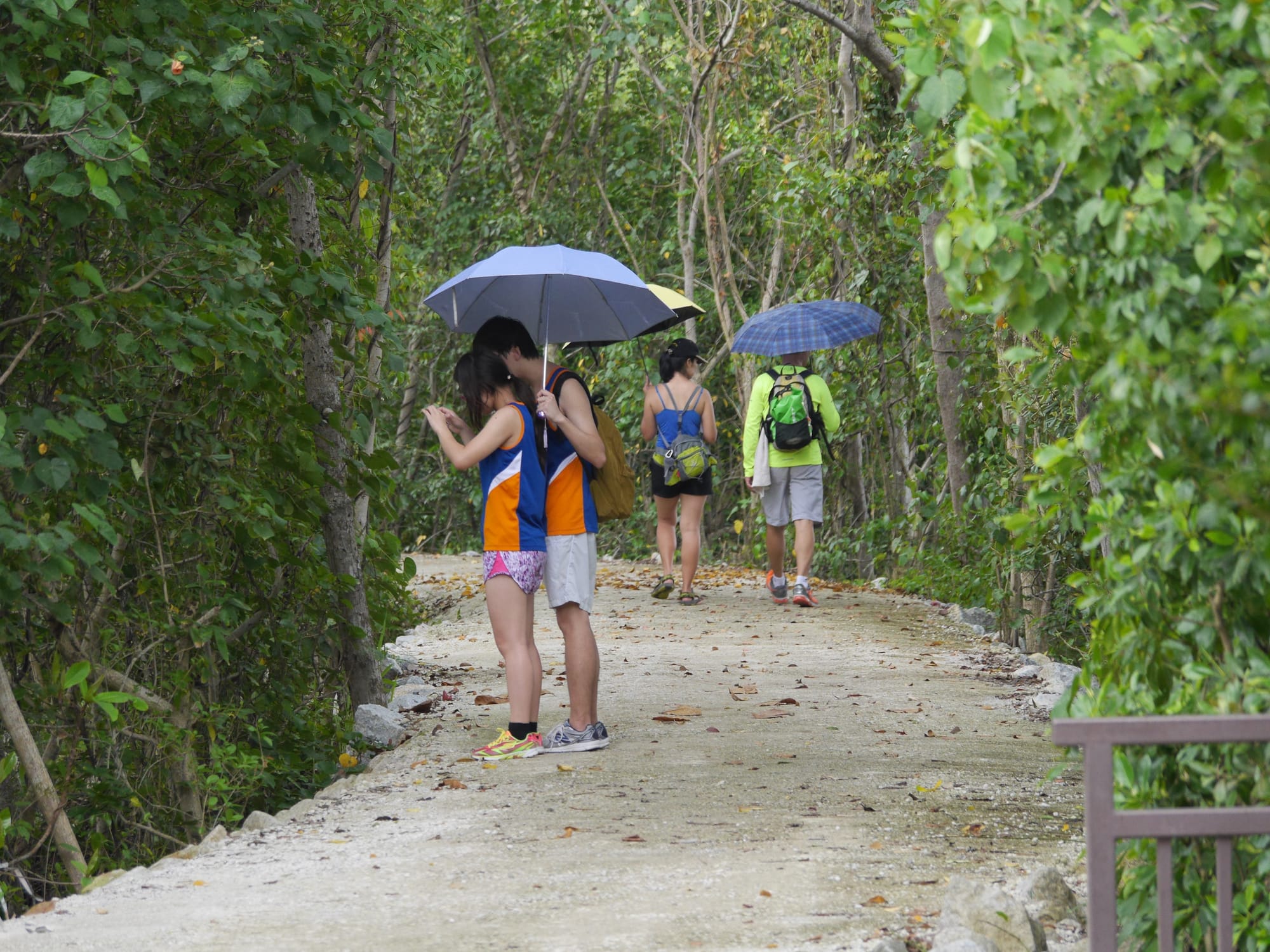 Photo by Author — visitors at Sungei Buloh Wetland Reserve, Singapore