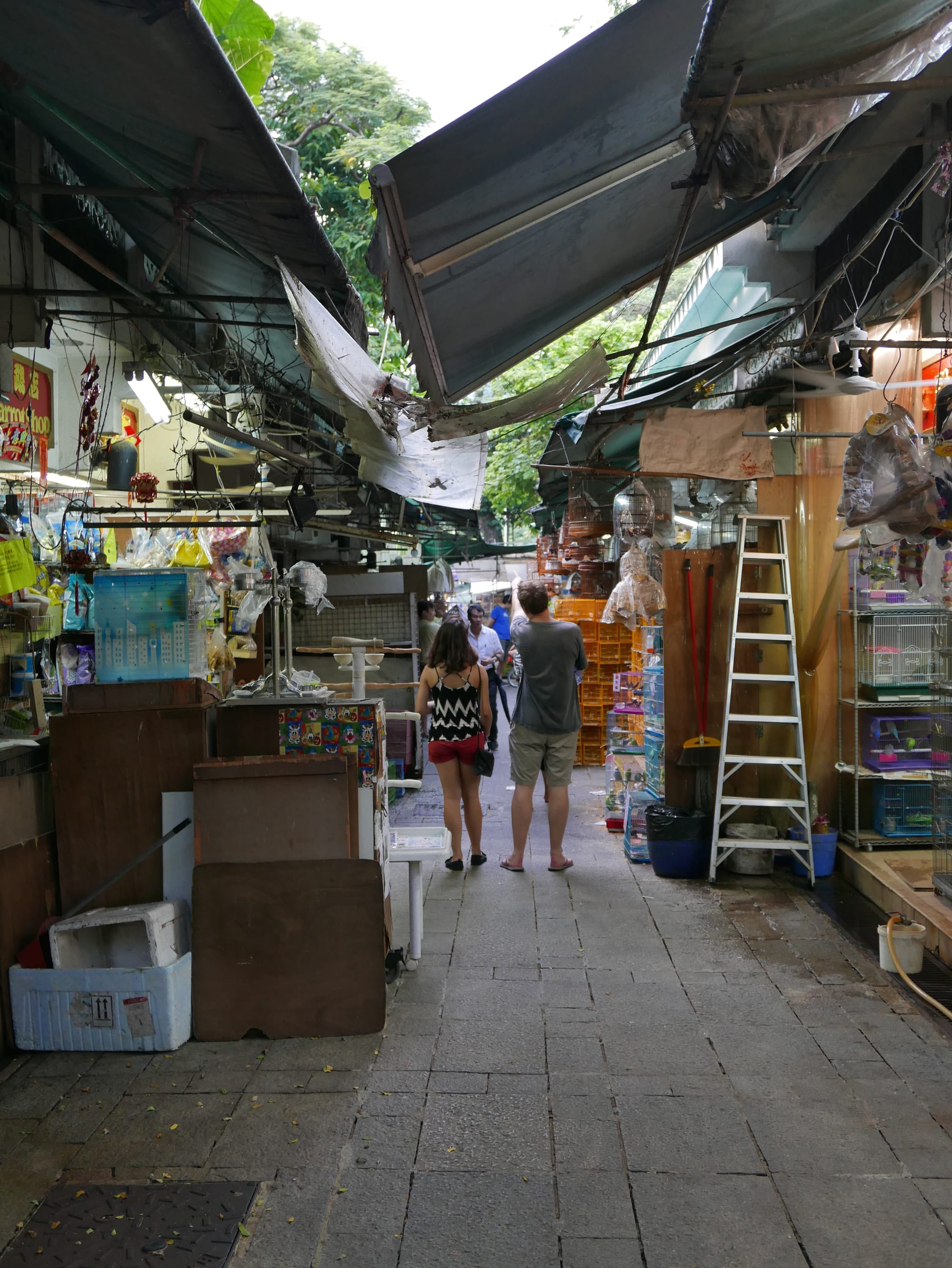 Photo by Author — Yuen Po Street Bird Garden 園圃街雀鳥花園, Hong Kong